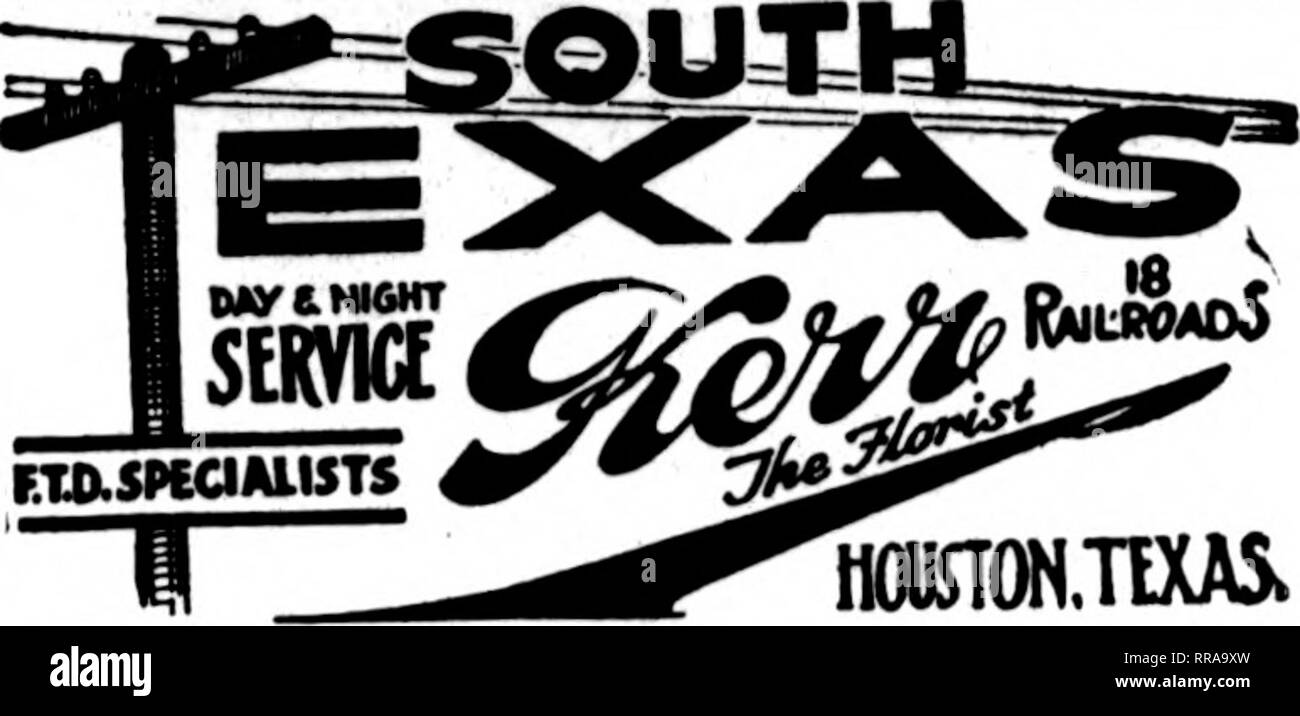 . Fioristi' review [microformati]. Floricoltura. Gli Stati F. T. D. UNIONTOWN, PA. STENSON &AMP; McGRAIL, "^Kl" 11 Morgantown Street FRESH HOME-COLTIVATE FIORI RECISI ANB PLAKTS a tutti i tempi Williamsport, Pa. W. J. EVENDEN I FIGLI I principali elementi di fioristi consegna del telegrafo associazione J, V. STRATO ERIE, PA. Scrivere, telefono"r fili.'^iri.Kfr; Erie, Pa. Charles G. Offerle 2408 Poplar Street soci V. T. D. il Libano, PA. J. F. VAVROUS figli ordini per '^' NTR.il Penria. han&lt;lle&lt;l con prontezza New Kensington, PA. GEORGE BROS. &Amp; CO. 813 Fifth Avenue TITUSVILLE, PA. WM. A. MURDOCH ^'^f^g N Foto Stock