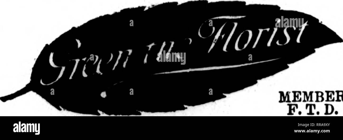 . Fioristi' review [microformati]. Floricoltura. SAN ANTONIO, TEXAS AVENUE C a 8TH STREET retail più grande negozio di fiori nel sud-ovest TELEGRAPH ordini di una specialità. Gli Stati F. T. D. UNIONTOWN, PA. STENSON &AMP; McGRAIL, "^Kl" 11 Morgantown Street FRESH HOME-COLTIVATE FIORI RECISI ANB PLAKTS a tutti i tempi Williamsport, Pa. W. J. EVENDEN I FIGLI I principali elementi di fioristi consegna del telegrafo associazione J, V. STRATO ERIE, PA. Scrivere, telefono"r fili.'^iri.Kfr; Erie, Pa. Charles G. Offerle 2408 Poplar Street soci V. T. D. il Libano, PA. J. F. VAVROUS figli ordini per '^' NTR.il Penria. han&lt;lle&lt;l Foto Stock
