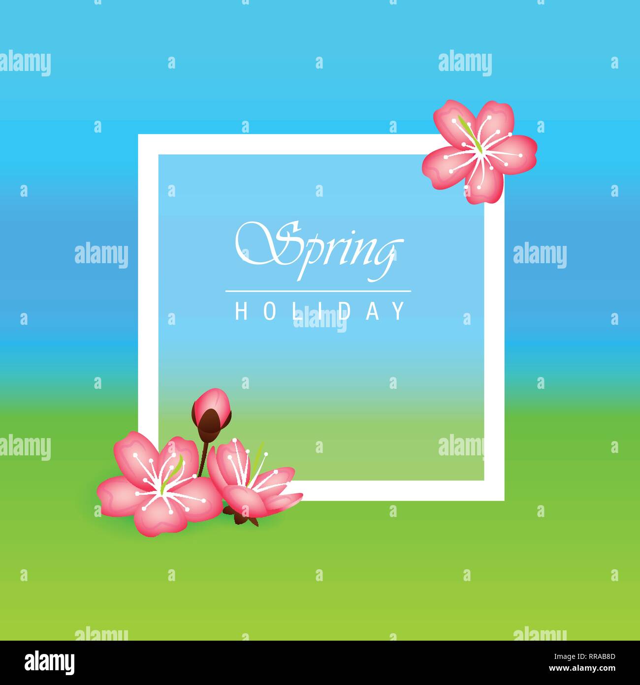 Vacanze di primavera con sfondo rosa fiori di ciliegio fiori illustrazione vettoriale EPS10 Illustrazione Vettoriale