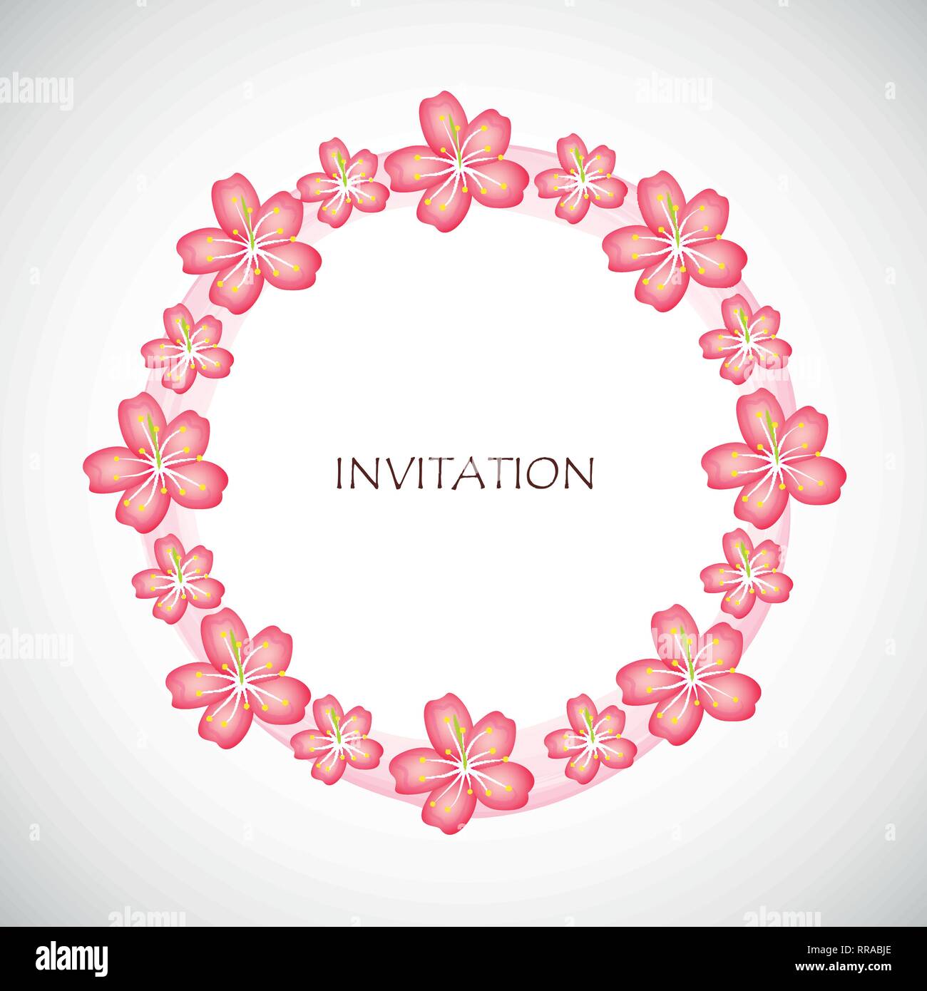 Rosa fiori di ciliegio fiori di sakura circle invito illustrazione vettoriale EPS10 Illustrazione Vettoriale