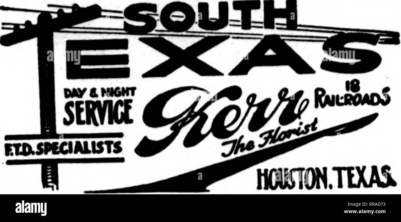 . Fioristi' review [microformati]. Floricoltura. Gli Stati F. T. D. UNIONTOWN, PA. STENSON &AMP; McGRAlL, T£KS"°' 11 Morgantown Street FRESH HOME-coltivate fiori recisi e piante di aU volte Williamsport, Pa. W. J. EVENDEN*S figli leader di fioristi Membera telegrafo associazione consegna J. V. STRATO ERIE, PA. Scrivere, telefono o filo S^phKt; Erie, Pa. Charles G. Offerle 2408 Poplar Street membri F. T. D. il Libano, PA. J. F. VAVROUS figli ordini per '•entral Penna. Gestito con promptneM New Kensington, PA. GEORGE BROS. &Amp; CO. 813 Fifth Avenue TITUSVILLE, PA. WM. A. MURDOCH ^^^f'g New Kensington, Pa. McR Foto Stock