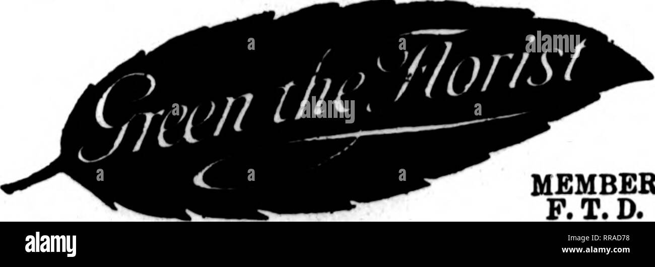 . Fioristi' review [microformati]. Floricoltura. SAN ANTONIO, TEXAS AVENUE C a 8TH STREET retail più grande negozio di fiori nel sud-ovest TELEGRAPH ordini di una specialità. Gli Stati F. T. D. UNIONTOWN, PA. STENSON &AMP; McGRAlL, T£KS"°' 11 Morgantown Street FRESH HOME-coltivate fiori recisi e piante di aU volte Williamsport, Pa. W. J. EVENDEN*S figli leader di fioristi Membera telegrafo associazione consegna J. V. STRATO ERIE, PA. Scrivere, telefono o filo S^phKt; Erie, Pa. Charles G. Offerle 2408 Poplar Street membri F. T. D. il Libano, PA. J. F. VAVROUS figli ordini per '•entral Penna. Gestito con promptneM NUOVO KE Foto Stock