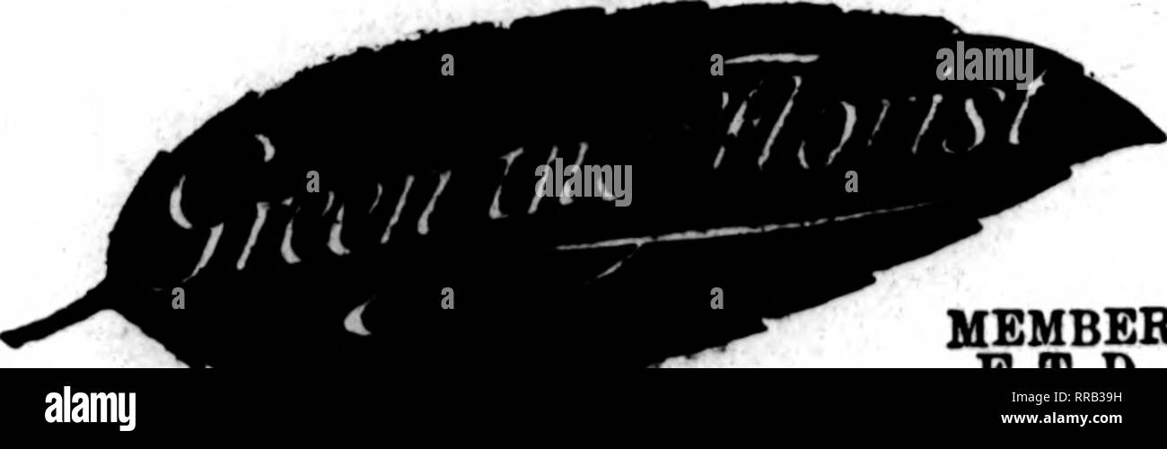 . Fioristi' review [microformati]. Floricoltura. SAN ANTONIO, TEXAS AVENUE C a 8TH STREET retail più grande negozio di fiori nel sud-ovest TELEGRAPH ordini di una specialità. Gli Stati F. T. D. UNIONTOWN, PA. STENSON &AMP; McGRAIL, TaSS?" 11 Morgaatown Street freschi HOMS-OROVrN fiori recisi e piante a tutti i tempi Williamsport, Pa. W. J. EVENDEN*S figli leader di fioristi Membera Telegraph Drf Tcry Assoc'ation J. V. STRATO ERIE, PA. Scrivere, telefono o filo Tei"wraph iMiYerj Erie, Pa. Charles G. Offerle 2408 Poplar Street membri F. T. D. il Libano, PA. J. F. VAVEOUS figli ordini per 'Peona antrale. haiMlled con Foto Stock