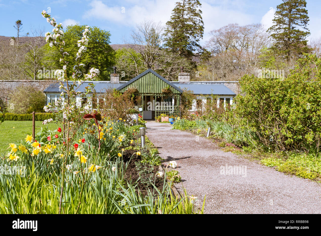 Applecross Walled Garden e il Potting Shed Cafe e ristorante in primavera, Strathcarron, North West Highlands, Scotland, Regno Unito Foto Stock