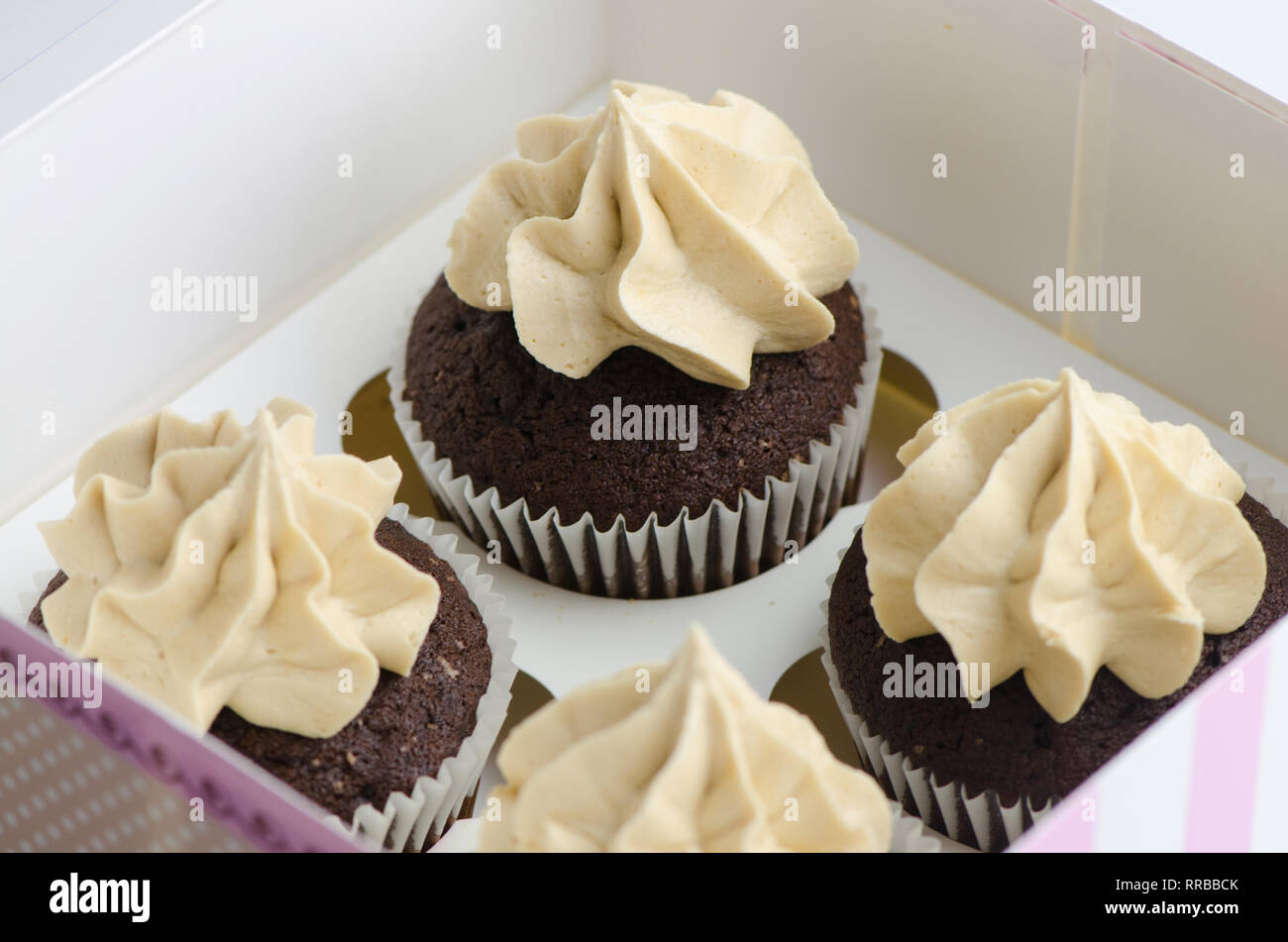 Devil's Food tortini, deliziosa Moka, caffè e cioccolato cupcake Foto Stock