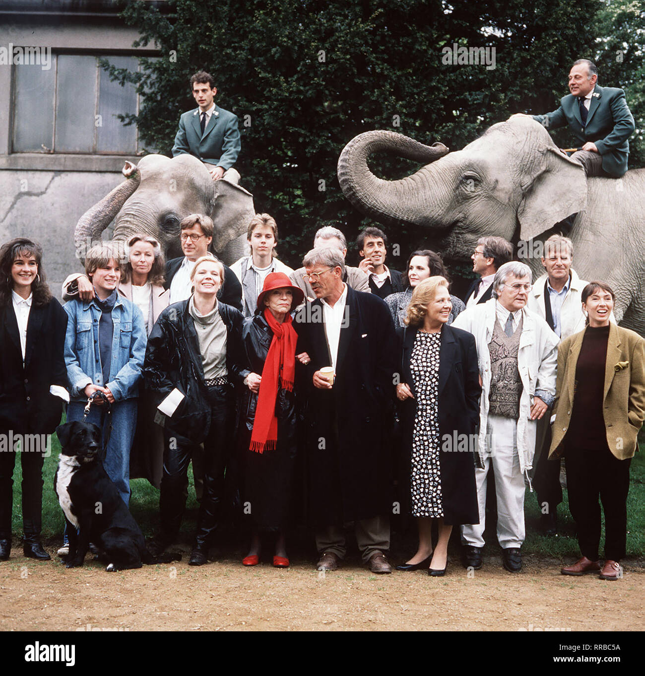 Martha Hagenbeck lehnt Straatens Kreditangebot ab. der Tierpark soll in der Entscheidungsgewalt der Famlie bleiben. Foto: hinten: DAPHNE WAGNER, RAINER RUDOLPH, FRANZ JOSEF STEFFENS, JÖRG PLEVA, ASTRID MEYER GOSLAR, WOLFGANG ESTERER, HANS-WERNER SCHMIDT; vorne: CONSTANZE WETZEL, WANJA MUES, HEIDEMARIE WENZEL, TILLY LAUENSTEIN, PETER STRIEBECK, LONNY KELLNER, GIULIA FOLLINA. Regie: Hans-Werner Schmidt aka. Schwierige Zeiten / Überschrift: UNSERE HAGENBECKS / BRD 1991 Foto Stock