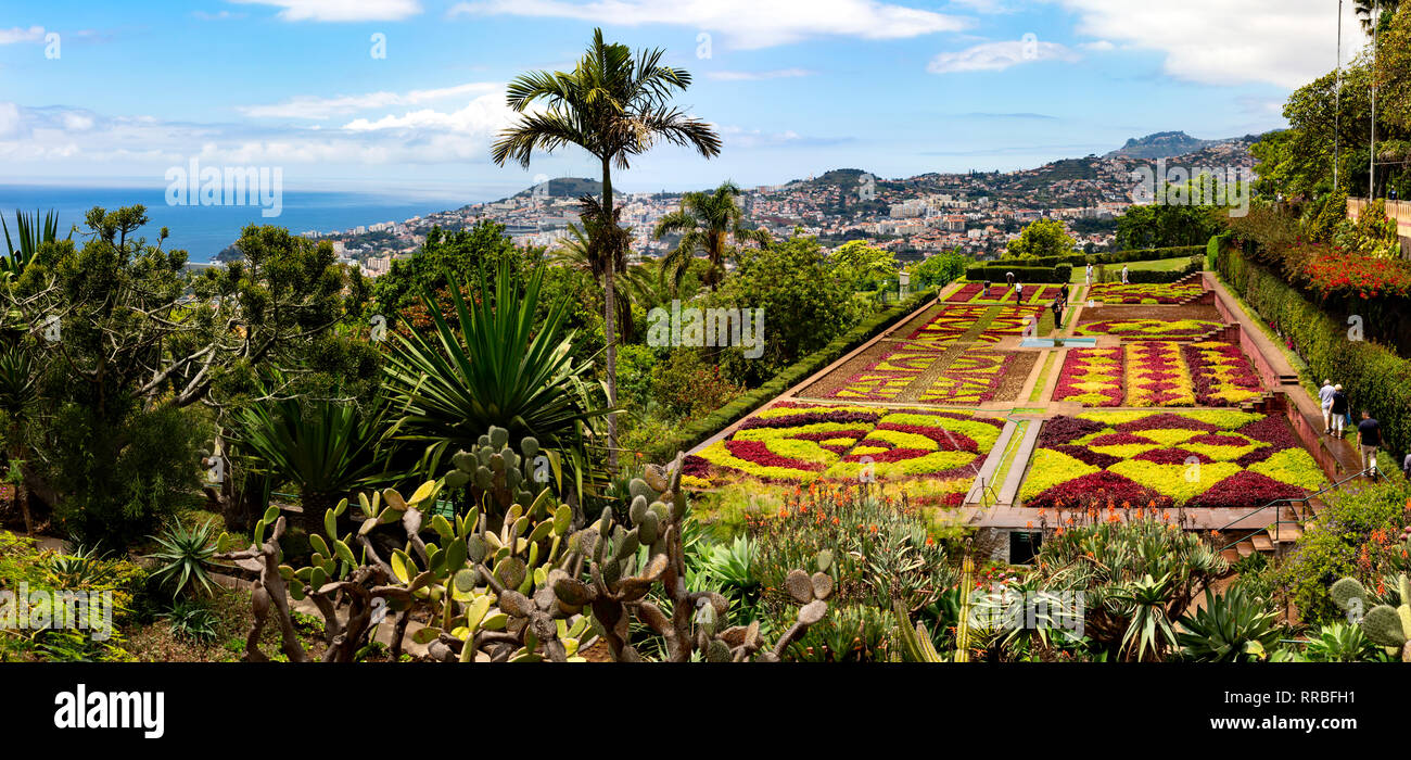 Il Botanic Gardens (Jardim Botanico), Funchal, Madeira, Portogallo. Foto Stock