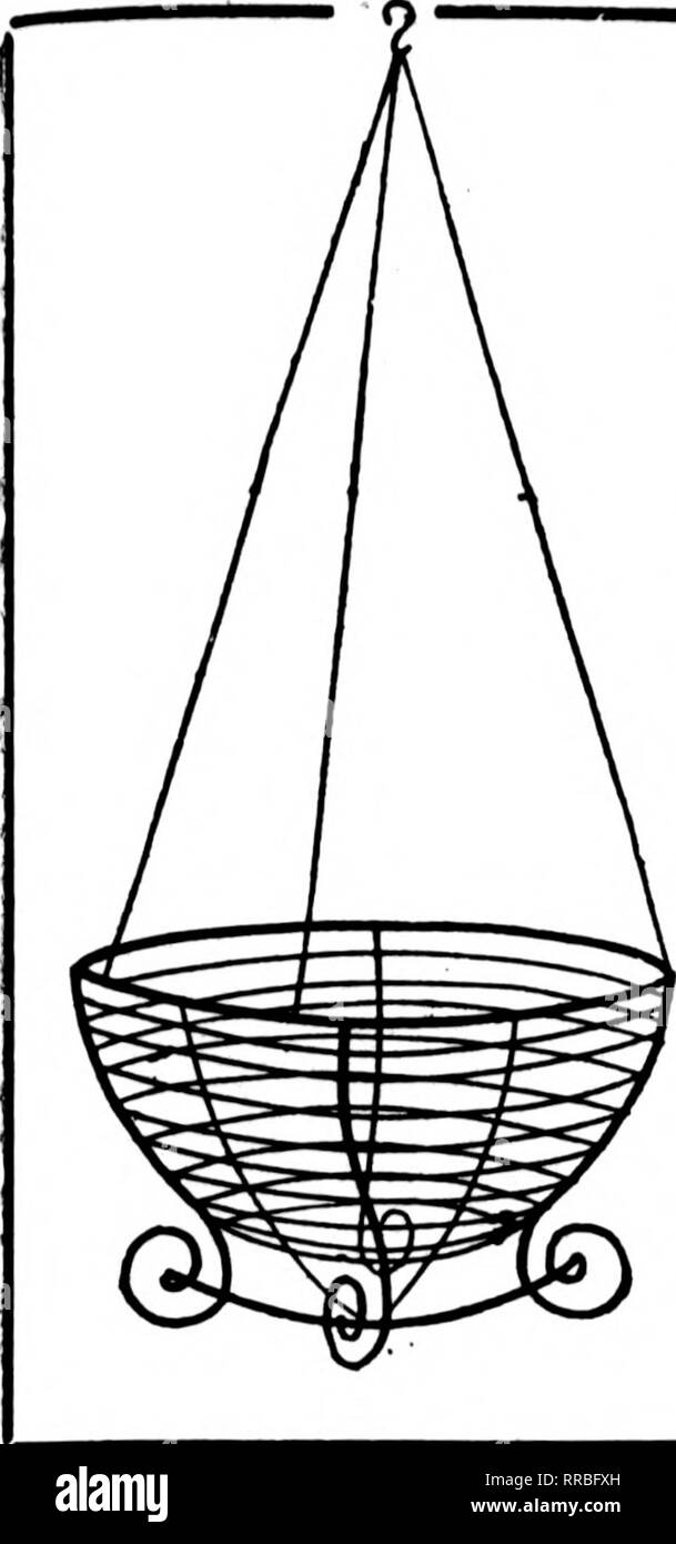 . Fioristi' review [microformati]. Floricoltura. Fbbkuabv 23, 1922 i fioristi' Riesaminare 59. Filo nei cestini appesi non è dei più economici ma il meglio la parete in genere verniciato, legate con filo zincato 6 alla dozzina di tasso, così al tasso di 100 per 100 $16.00 18.00 20.00 26.00 36.00 46.00 al doz. ,...$2.00 .... 2.26 8-iQch 10 pollici 12-mch 2,50 14-mch 3.26 16 pollici 5.00 18 pollici 6.00 Prezzi su dimensioni maggiori nei cestini appesi quotata in applicazione. Scrivere per il listino prezzi di filo disegni floreali. ^^DITCKT d-HnrT* KJt^^QlCl lungo verde fogli V&GT;tvI!"C!"iN OrimCril JVlUdO per appendere cestelli per bundle, $l.SO; per lO bundl Foto Stock