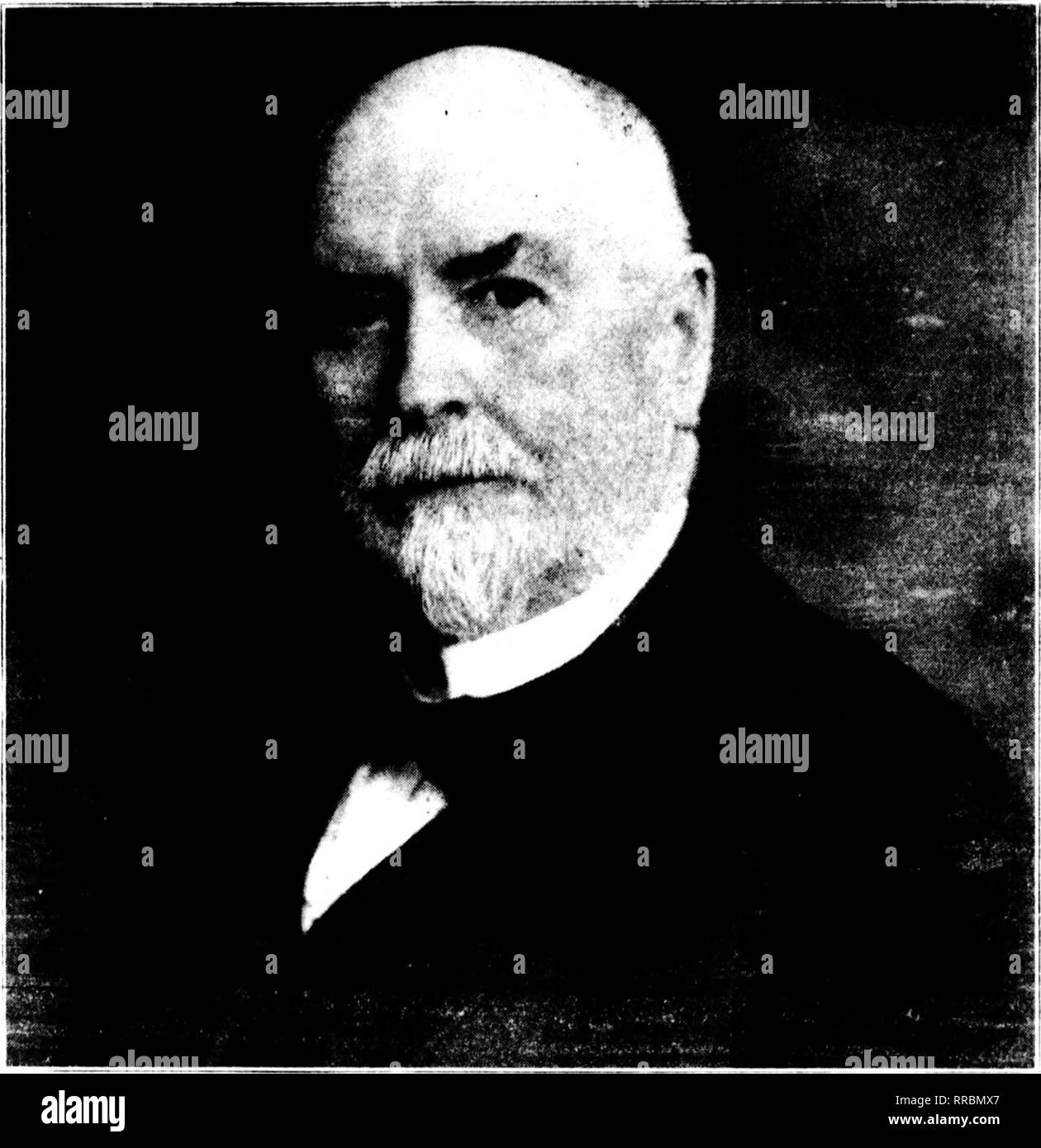 . Fioristi' review [microformati]. Floricoltura. Februakv 9, 1922 i fioristi^ Rassegna 33 nel 1902 ha lanciato come un fioraio e puhc'liast'd trenta ettari a sud della città, giacciono sviluppato uno dei migliori tlic ingrosso noto {serre in 'irginia. Oltre a caterin^j a locale pat- ronage in fiori recisi .e vasi jilants, ho specializzato in crescendo Hjjanish iris, peonie e gladioli per il commercio all'ingrosso, Nave- ping in gran parte alla commissione per i commercianti in New York e I'hilinlclphia. Come la sua azienda locale è cresciuta, ha aperto una stoir sulla strada principale di quattro anni fa. Il sig. Lank Ford ha preso un vivo interesse in pu Foto Stock