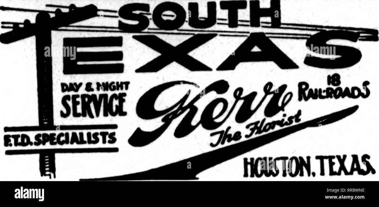 . Fioristi' review [microformati]. Floricoltura. Gli Stati F. T. D. UNIONTOWN, PA. STENSON &AMP; McGRAIL, •TSUSS'?' 11 Morgantown Street FRESH HOME-coltivate fiori recisi e piante a tutti i tempi Williamsport, Pa. W. J. EVENDElsrS figli i principali elementi di fioristi Telegraph del molto Assoc'ation J. V. STRATO ERIE, PA. Scrivere, telefono o filo di consegna del telegrafo Erie, Pa. Giarles G. Offerle 2408 Poplar Street membri F. T. D. il Libano, PA. J. F. VAVROUS figli ordini per &gt;^ntral Penna. Gestito con prontezza New Kensington, PA. GEORGE BROS. &Amp; CO. 813 Fifth Avenue TITUSVILLE, PA. WM. A. MURDOCH ^^f^ Kens nuovo Foto Stock