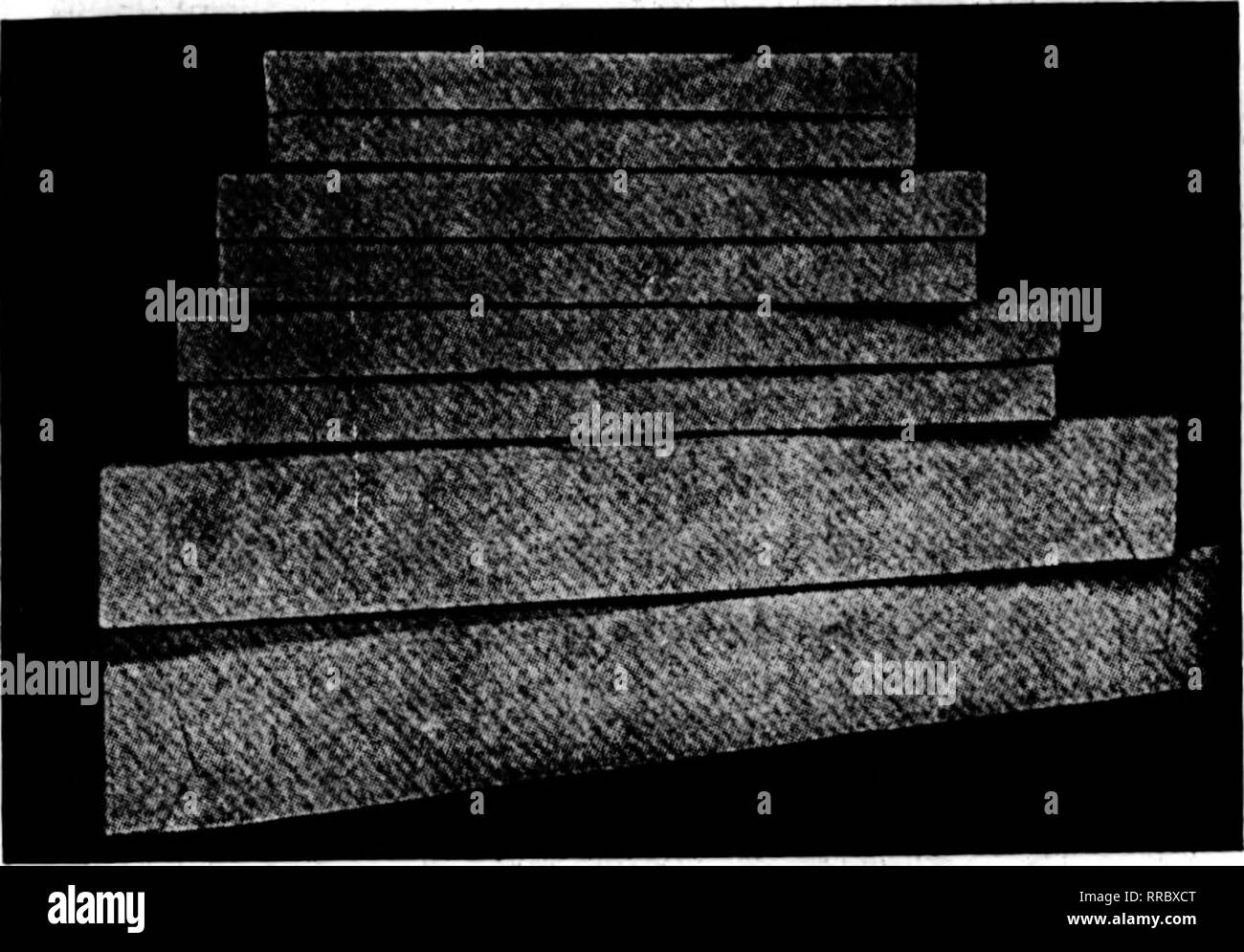 . Fioristi' review [microformati]. Floricoltura. ? Jlii|iiIipp 11iwmimw^lf^''4(4*.?" *^*m*mviff' f^i^K^n^v" Mav 4, 1922 i fioristi' Riesaminare 19 un buon posto per il commercio Offerte Prezzi interessanti su Taglio fioriere. MADE IN MILWAUKEE grigio nebbia, metà telescopio 18 X 5 X 3. .. 21 X 6 X 3V1&GT;, 24 X 5 X 3y&GT;. 24 X 8 X 4,.., 28 X 8 X 5. 30 X 6 X 3V,. Per 100 . .$3.75 . . 4.40 . .. 4,50 . . 6.00 . . 7.50 . .. 5.50 dimensioni indicate sopra sono condizionati 100 in un pacchetto e noi non rompere i pacchetti. Scatole di spray grigio nebbia, telescopio completo per 100 36 X 8x 5... $11.00 30 X 12 X 6 15.00 36 X 12 X 6 18.00 42 X 12 Foto Stock