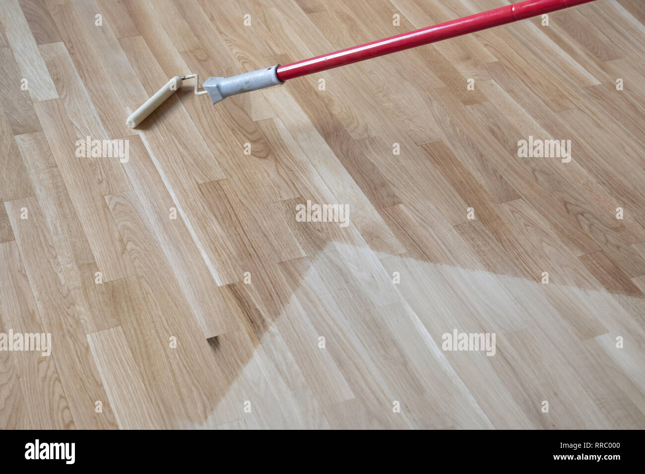 La laccatura verniciatura di un legno di quercia levigato pavimento in parquet dal rullo di vernice primo strato. Foto Stock