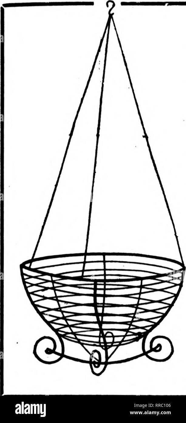 . Fioristi' review [microformati]. Floricoltura. Januaby 19, 1922 i fioristi^ Review 109 filo nei cestini appesi non è dei più economici ma il miglior fatto bene la natura dipinta, legato con filo zincato 6'a dozzine di tasso, 50 a 100 tasso Per doz. Per 100 8-iach $2.00 $15.00 10-iach , 2.26 18.00 12-iach 2.50 20.00 14-iiich 3.26 25.00 16 pollici 500 36.00 18 pollici 6.00 45.00 Prezzi su dimensioni maggiori nei cestini appesi quotata in applicazione. Scrivere per il listino prezzi di filo disegni floreali.. /^OCfM GUE*17T* 1V&GT;ff/^6G verde lungo fogli V3lVE&lt;II"ni OnHIli 1 ivi^^OO PER APPENDERE cestelli per bundle, $1.50; per lO fasci, Foto Stock