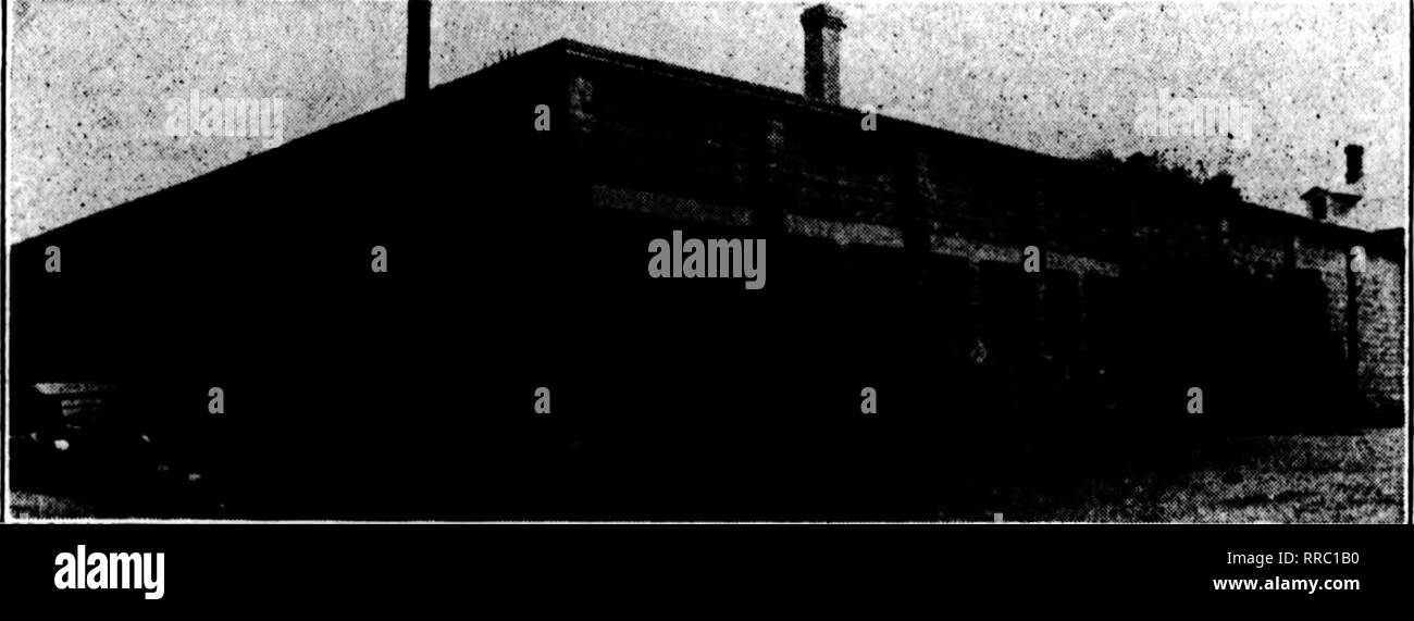 . Fioristi' review [microformati]. Floricoltura. 60 i fioristi^ Review Mauch 9. 1922 FANCY FELCI $4.00 ptr 1000 FiiMCt Stock in th" coontry $4.00 al 1000 - Un ,0 i^''0{((^ 1 S"bi"ct per Changs Wtthoat Notic*. Wlld'Smilaz, 50-lb. Caso 9 7JS0 Lencothoe verde, 100 fl'SO; 1000 10.00 Magnolia foglie verde e bronzo, per oarton 1,50 10 cartoni 14.00 Galax foglie verde, per ogni caso di 10.000 IB.OO FOGLIO VERDE MUSCHIO, molto bene per cestello di lavoro fresatura, pentole, ecc. per sacchetto 2.00 Sphagnum Moss, per balla 1.S0 di alimentazione piena di fiori recisi in corrispondenza di tutti i tempi. ffiCHIGAN FIORI RECISI EXCHANGE, 'tlU Randolph St,Detroit,Nich W Foto Stock