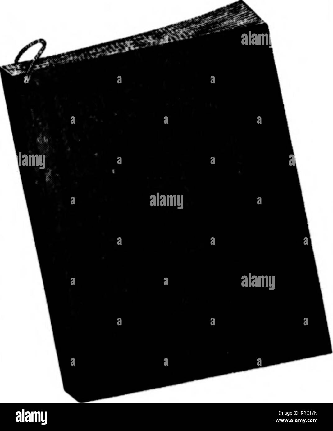 . Fioristi' review [microformati]. Floricoltura. Cavalletti per il filo W("M costituito, dipinta Kreen. Per Doz. Per ir KMl)-in $0,75 $ 6.00 8.00 10.00 12.00 14.00 18.00 22.00 18 in 21-in i;4-a. •J7-a. MO-in. Hd-in 42-in 1,00 1,25 1,50 1-75 3,25 4,00 4S-ln ".50. Copia del nostro CataloKue spedito su richiesta Wc non è in grado di stampare CORS/VGE SCATOLE H) X 7 X 5, 12 X 9 X 5 stampa 3,00 dollari extra per 500, $4.00 per 1.000. Alcuni programmi speciali per 100 ...$5.50 . , 6.00 Q.REEN colorante, per la festa di San Patrizio, 50c per confezione. pura carta velina bianca, fascio di dieci leams, $13.50. WHITEWAXDTISSUE, per risma, $2.00. r^REENWAXDTISSUE, ^^ per ri Foto Stock