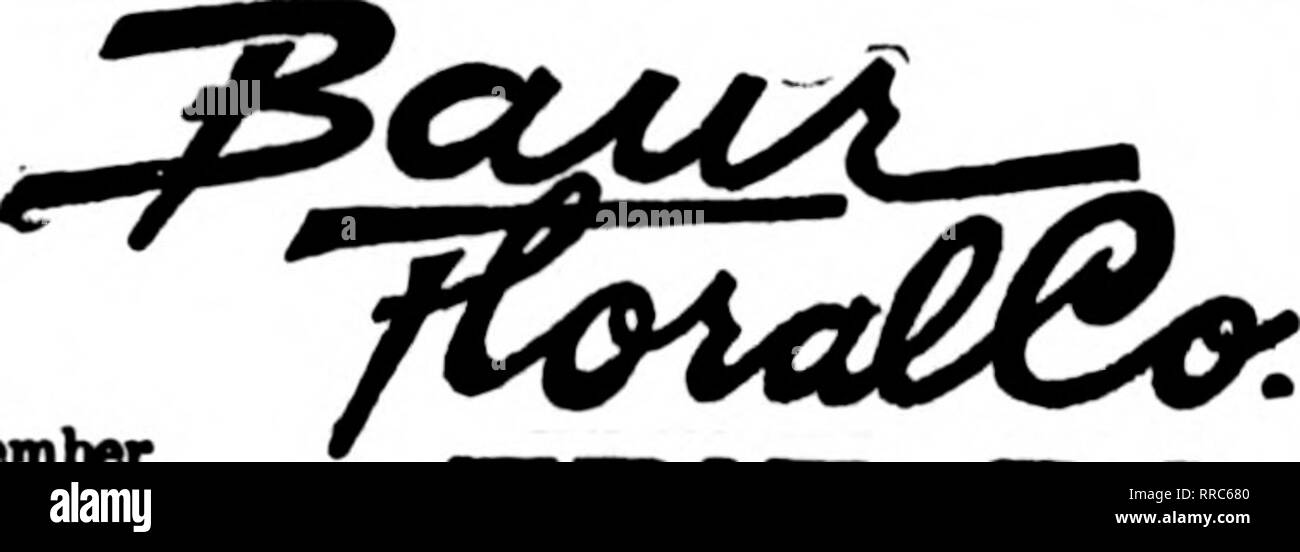 . Fioristi' review [microformati]. Floricoltura. SAN ANTONIO, TEX. AVENUE C a 8TH STREET PIÙ GRANDE MI^TAIL negozio di fiori nel sud-ovest. Gli ordini del telegrafo una specialità. Hannover, PA. CREMER, fioraio TUTTO IN FIORI RECISI serviamo tutti i punti nel Southeantem Pennsylvania. Un servizio speciale di consegna espressa di Gettysburg, Pa. STATI F. T. D. Williamsport, Pa. W. J. EVENDEN I FIGLI I principali elementi di fioristi telegrafo associazione consegna J. V. LAVER ERIE, PA. Scrivere, telefono o nel filo T^egniph consegna. Gli Stati F.T.D. ERIE. PA. Erie, Pa. Charles G. Offerle 2408 Poplar Street New Kensington, Pa. McRAE-JENKINSON CO. M Foto Stock