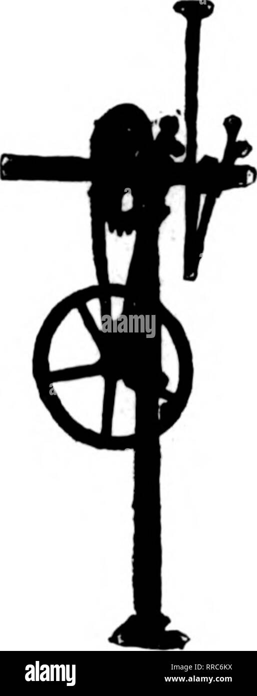 . Fioristi' review [microformati]. Floricoltura. 152 fioristi^ Review NOVBMBBB 17, 1021 Nuovo Coleus Harding HARDING COLEUS è il più bello e il colore brillante mai introdotto per il commercio. Bright Foglie rosse, con il marrone, il verde e il giallo la bordatura; medie grandi foglie. Cresce molto rapidamente ed è molto facile radicata. HARDING COLEUS rende belle piante in vaso per l'inverno, in quanto mantiene il suo colore meravigliosamente durante i mesi invernali. HARDING COLEUS. per biancheria da letto esterno HARDING COLEUS è una piantina trovato da noi, cresciuto e testato prima di introdurla, che ha dimostrato di essere come descritto sopra. HARDING COLE Foto Stock