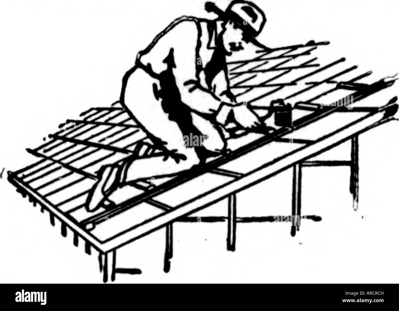 . Fioristi' review [microformati]. Floricoltura. BULBING M VERNICIATURA DI UN REPARTO DI CONTRATTO PER PRENDERSI CURA DI TUTTI BULBING E SERRA LA VERNICIATURA DI UN NUOVO SERVIZIO PER I NOSTRI CLIENTI. Esperti vetrai e pittori ^vho sa come gestire tutti i lavori di serra. Non faremo alcun profitto su questo lavoro, ma è una questione di servizio ai nostri clienti. Vetri di Master e Master bianco serra la vernice applicata correttamente sono garantiti per dare soddisfazione perfetta. Scrivici adesso per i prezzi sul materiale e stima sul lavoro. Il MASTER MFG. CO. 68 W. Washington St., CHI,CAGO, ill. Menzionare il Hevlpw quando yon scrivere. (REG. Brevetto statunitense n. Foto Stock