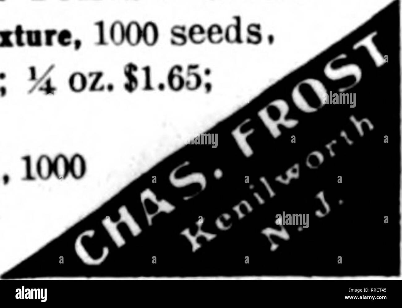 . Fioristi' review [microformati]. Floricoltura. OCTOBEB 20, 1921 i fioristi"Review 121 Seasonable Sementi e altri^tockXy"^!&GT;£rf.n gli asparagi PIUMMii* naaut (Orecnhoute coltivate). 14.00 pw 1000. Spnaitrl, ll.BO p"r 1000; 6000. $".2(. ANTIRRHINUM (8ia"dr"ira) Pkt Oi. Blaat, ?warats colon $0.20 a.76 aiaat mizad 20 60 nana, miscelati 20 .76 Kayttaaa. Un caro, nwa-plnk. wltlumt qualsiasi traccia di viola o bianco. 11,00 per pkt. $6.00 per 6 Dkta.. ilO.oo per 18 pkto. SIlMT rosa. Mlkea lungo e un rery profuie bloomer. In originale padcets, tl.OO per irict. aaraet giallo, Uoht Prnk. Phclpa " bianchi a 60a per pkt Foto Stock