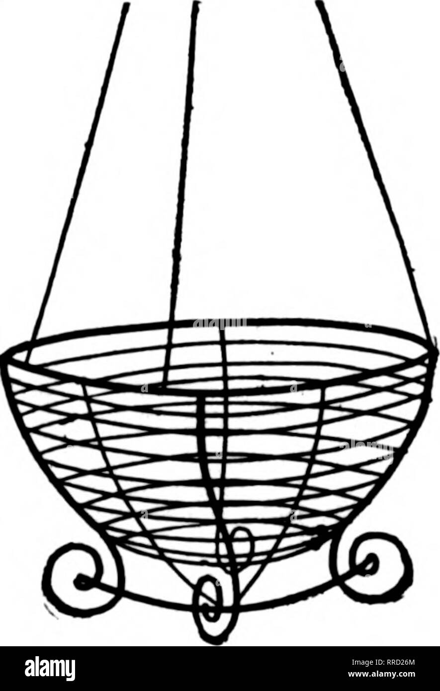 . Fioristi' review [microformati]. Floricoltura. Preparato di foglie di Magnolia in casse o cartoni RUMBLEY IL CO. Evergreen, Ala.. Filo nei cestini appesi dipinte di verde ben fatto e forte. Dimensione Per Doz. Per 100 8 pollici $2.00 $15.00 10 pollici 2.25 18.00 12 pollici 2,50 ^ 20.00 14 pollici 3,25 25.00 16 pollici 4.25 32.50 18 pollici 6.00 45.00 Listino prezzi sul filo di progetti su Applicazione. Foglio verde muschio. Per sacchetto, $1.75. Due bushel ciascuno. Dieci Batfs, $16.50. La WM. MURPHY CO. Lons distanza telefoni, principali 980-981. 329 Principali SU CINCINNATI, OHIO nei cestini appesi S-in. lO-in. $2.00 al doz. 116.00 per 100 mi }2-|"- 2.26 per Foto Stock