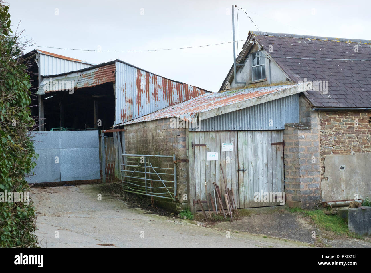 Dolton intorno a un villaggio nel distretto di Torridge di North Devon UK Cleve Farm Foto Stock