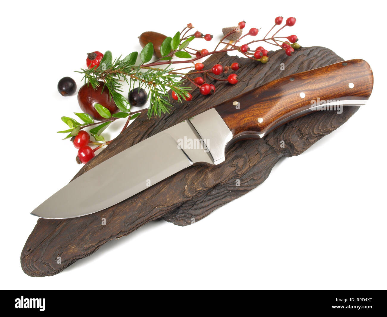 Unico coltello da caccia su sfondo bianco Foto Stock