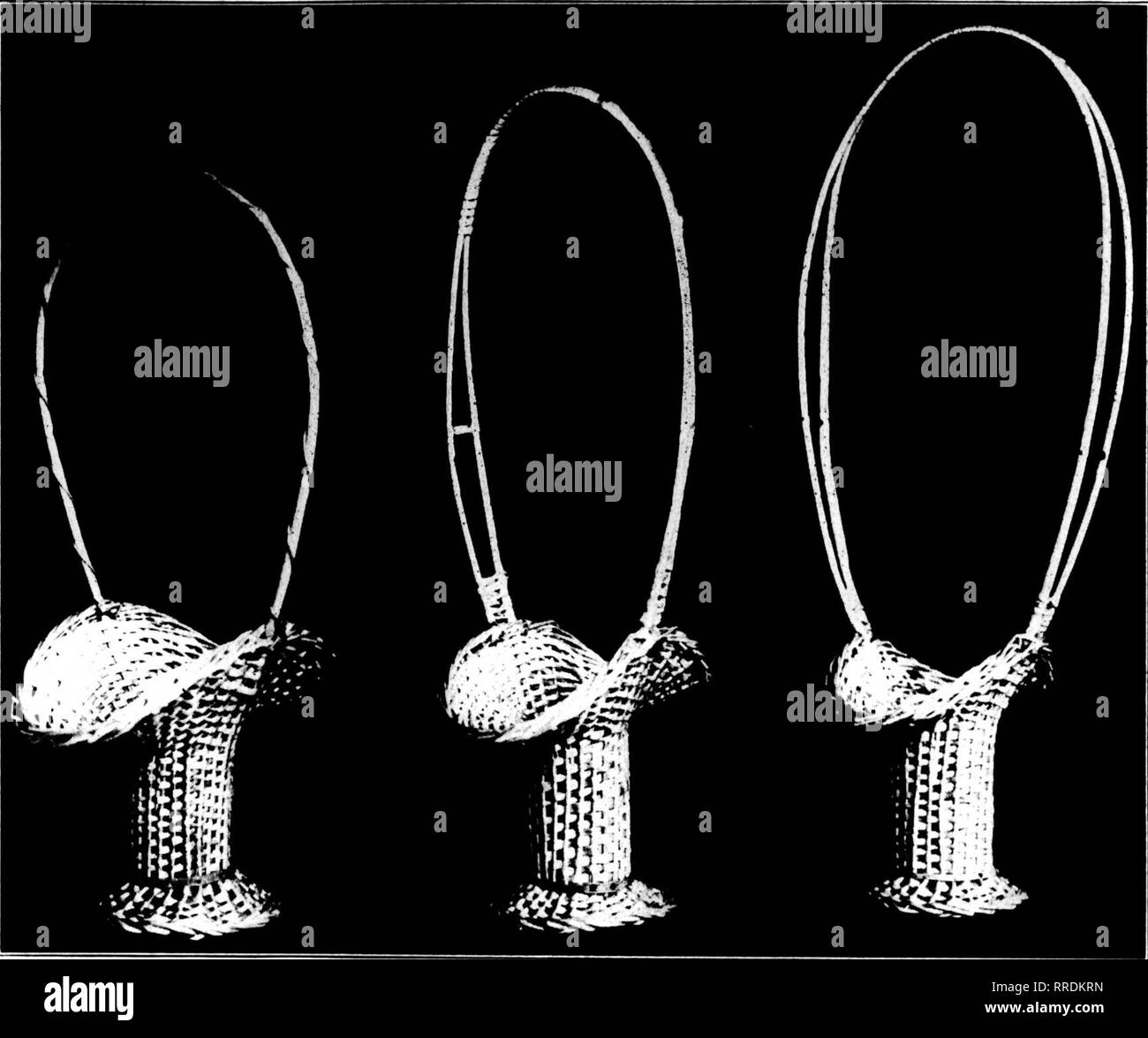 . Fioristi' review [microformati]. Floricoltura. Mw .", l!ii;i fioristi' Review. Un valore SPECIALE IN importati fatti a mano la principessa ceste questi sono i cesti ideale per giugno matrimoni e graduazione esercizi e sono ora essere- ing offerti presso i seguenti prezzi attraenti: $5.50 per doz. $40.00 per 100 Pranzo Misure assortite per ogni ordine e spedito il giorno stesso dell'ordine è stato ricevuto. Lampadina americana CO. I^^^'^o^ 172 No. Wabash Avenue, Chicago, Illinois. Si prega di notare che queste immagini vengono estratte dalla pagina sottoposta a scansione di immagini che possono essere state migliorate digitalmente per la leggibilità - colorazione e Foto Stock