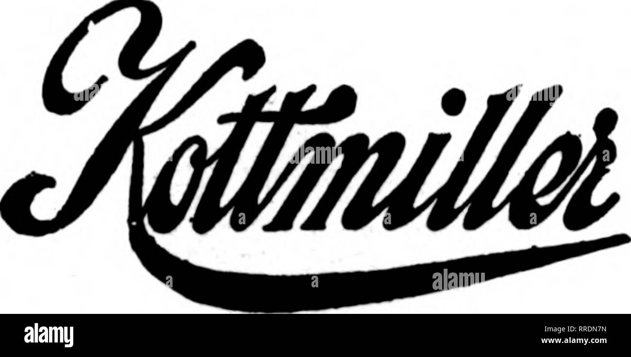 . Fioristi' review [microformati]. Floricoltura. LOS ANGELES membri fioristi* Telegraph WOLFSKILL Consegna e MORRIS GOLDENSON 229 West Third Street. ... Fioraio . . 426 Madison Ave.-e 49th Street anche Vanderbilt e MPY7 VHRkT hotel Ritz-Carlton lNtL.W I V^fS-K Telefono Murray Hill 783 Bigheet award all'International Flower Show, Aprile 11, Grand Central Palace. Posizione centrale. Attentioa personali. NEW YORK CITY ADOLPH MEYER Ins*"- bon ton ?^Sicl 1062 Madison Avenue vicino alla grande arte Husenm e il Cleopatra Needlt copriamo lunga isola di Jersey e CONNECTICUT telefoni: 2S52-7019 Len Foto Stock
