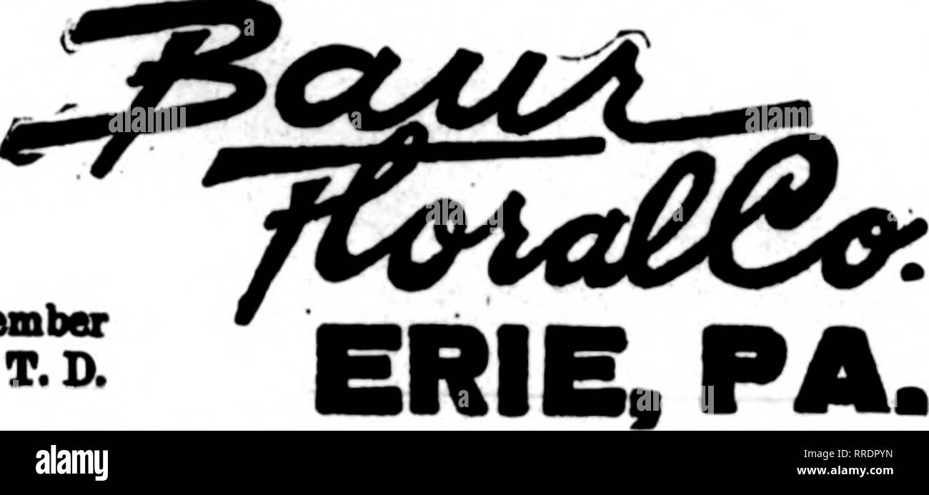 . Fioristi' review [microformati]. Floricoltura. SAN ANTONIO, TEX. AVENUE C a 8TH STREET retail più grande negozio di fiori nel sud-ovest. Gli ordini del telegrafo una specialità. Hannover, PA. CREMER, fioraio TUTTO IN FIORI RECISI abbiamo icrve tutti i punti in Pennsylvania Sootheastem. Un servizio speciale di consegna espressa a GettysborK, Pa. Williamsport, Pa. W. J. EVENDEN I FIGLI I principali elementi di fioristi consegna del telegrafo associazione J, V. lAVER ERIE, PA. Scrivere, telefono o filo Teiegn^ DeiiveiT*. Uember P.T.D. Erie,P2u Charles G. Offerle 2408 Poplar Street New Kensington, Pa. McRAE-JENKINSON CO. Uember rioiists' Telegraph D Foto Stock