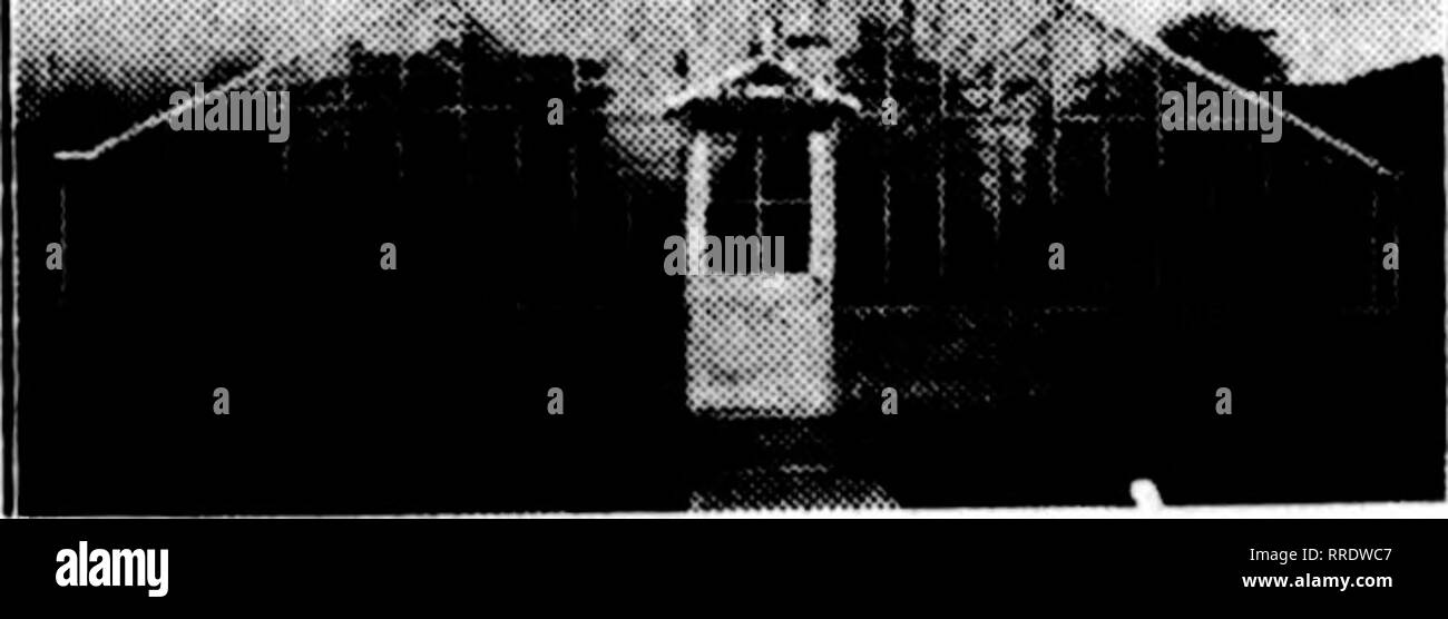 . Fioristi' review [microformati]. Floricoltura. Luglio 14, 1921 i fioristi' Riesaminare 125 Feed le vostre piante e risparmiare tempo di manodopera denaro ^?&GT; nuova vita vegetale *3;^ utilizzare 1 gallone con 200 galloni di acqua. Fritz Bahr-leggere ciò che egli taya: (Yra tutti kn*w lui.) "Tre punti luce doMS della ' nuova vita vegetale' sared dando ho io spostamento finale a thootandf di 3K-U&GT;ch geraninmt e la Wai oitcome oltre pleaiiag." | Hifhland Park, Ulinoii. FRITZ BAHR, Floritt. Produciamo anche Zenke dell impianto composto insetticida, per gallone, $2.00 Zenke liquido è un fungicida, per gallone, - - - 3.00 Prezzi f. 0. b. Chicago. Foto Stock