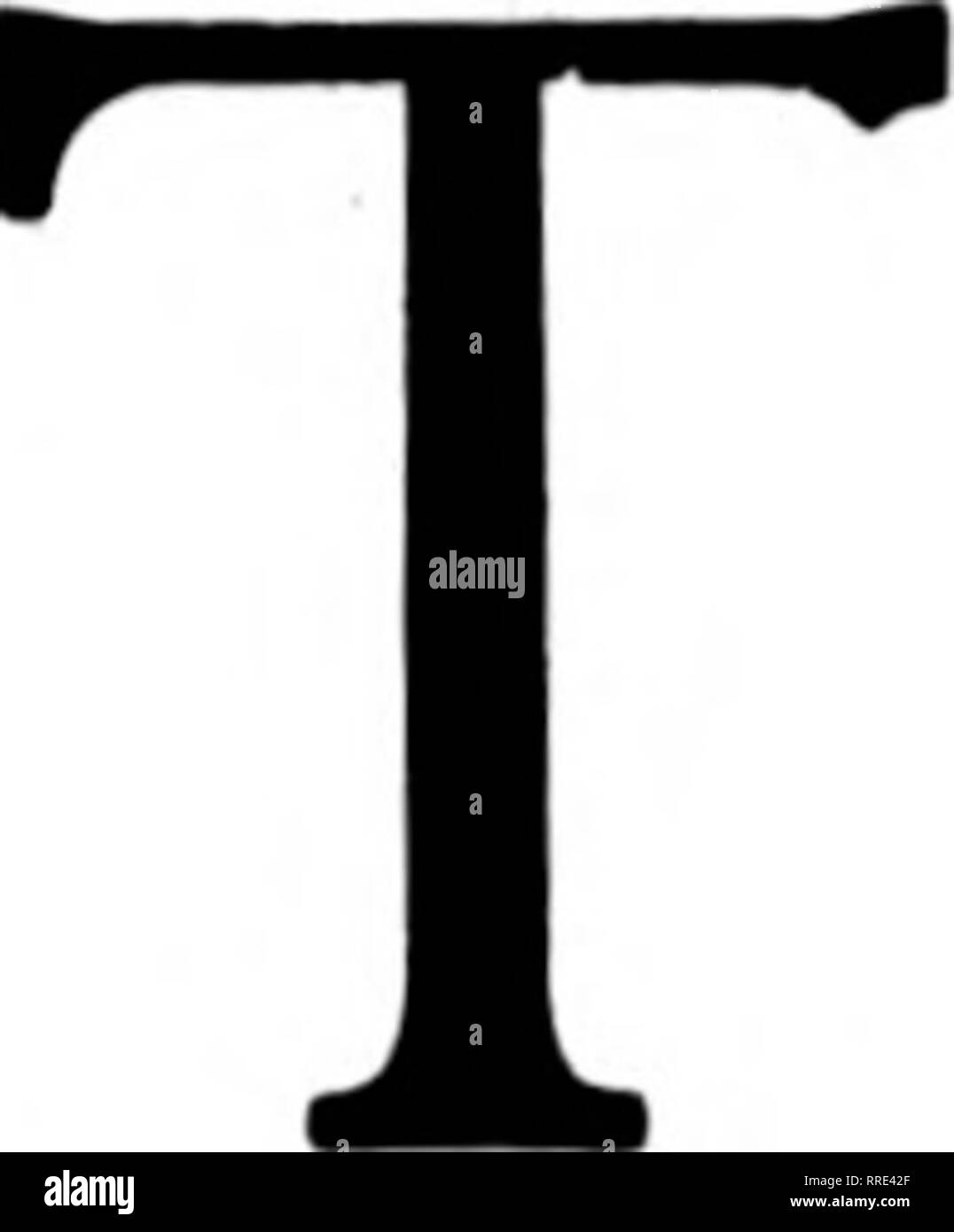 . Fioristi' review [microformati]. Floricoltura. Woodlawn negozio di fiori gli Stati fioristi' Telegrafo Associazione di consegna. 1410-1412 2° Avenue-accanto al teatro Clemmer edificio " nel cuore della città" Beise il destinatario dei vostri ordini Telegrafico sul merito offriamo unexcelled strutture. Più di 13.000 sq uare piedi di spazio dello store dedicato esclusivamente al re- tailing di fiori. Dove la qualità di servizio e di regnare. 21 DIPENDENTI CHARLES El. SULLIVAN, responsabile del servizio telegrafico ^FATTI F giardini di Hollywood ^i^ "io^ AJL un JL^ JL^ SEATTLE LEADER FIORAIO Stati fioristi' Telegraph Delive Foto Stock