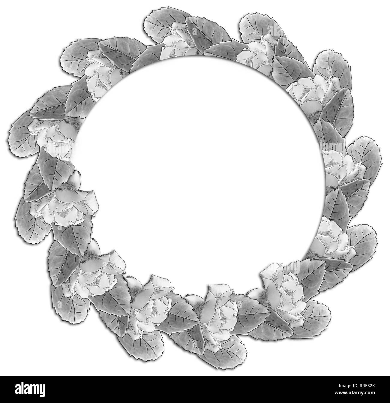 Monocromatico Rose round frame sfondo bianco da jziprian Foto Stock