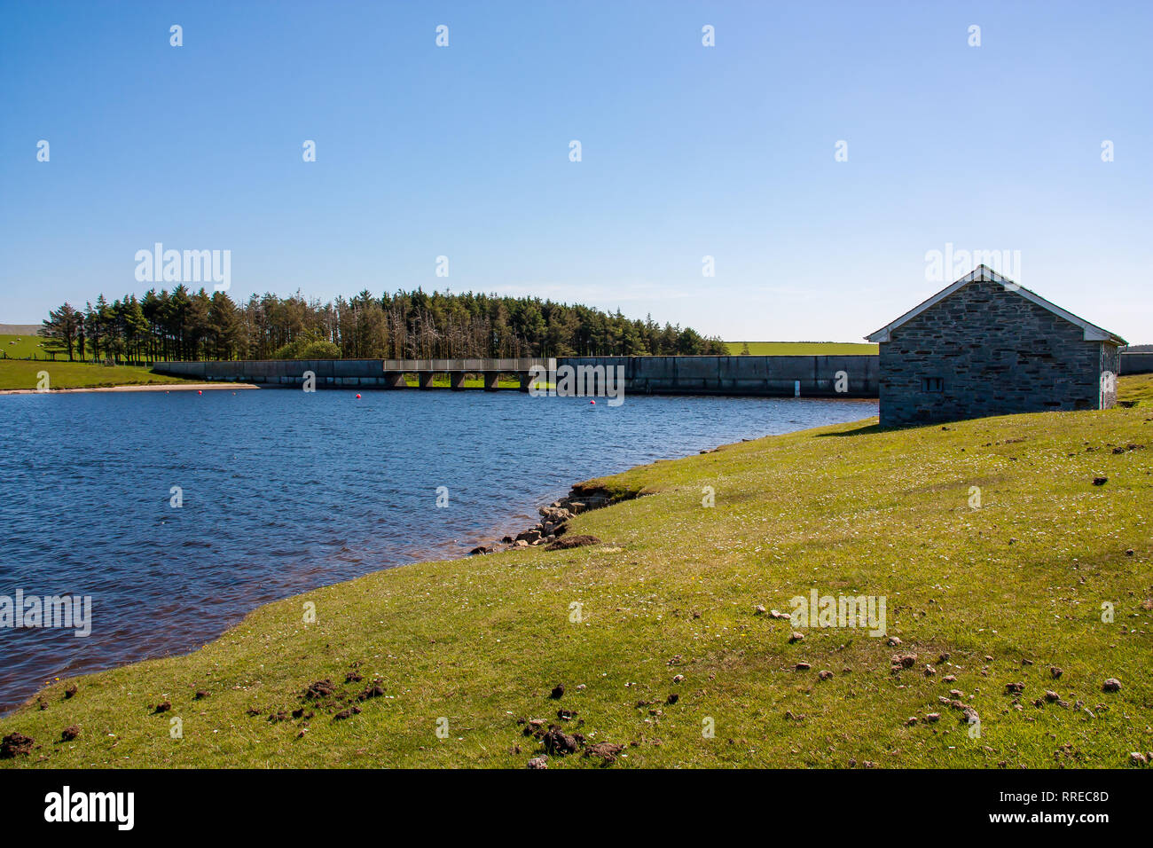 Giornata di sole a affollata serbatoio sulla Bodmin Moor Cornwall Inghilterra UK Europa Foto Stock