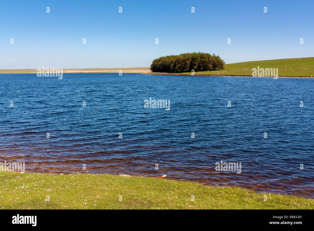 Giornata di sole a affollata serbatoio sulla Bodmin Moor Cornwall Inghilterra UK Europa Foto Stock