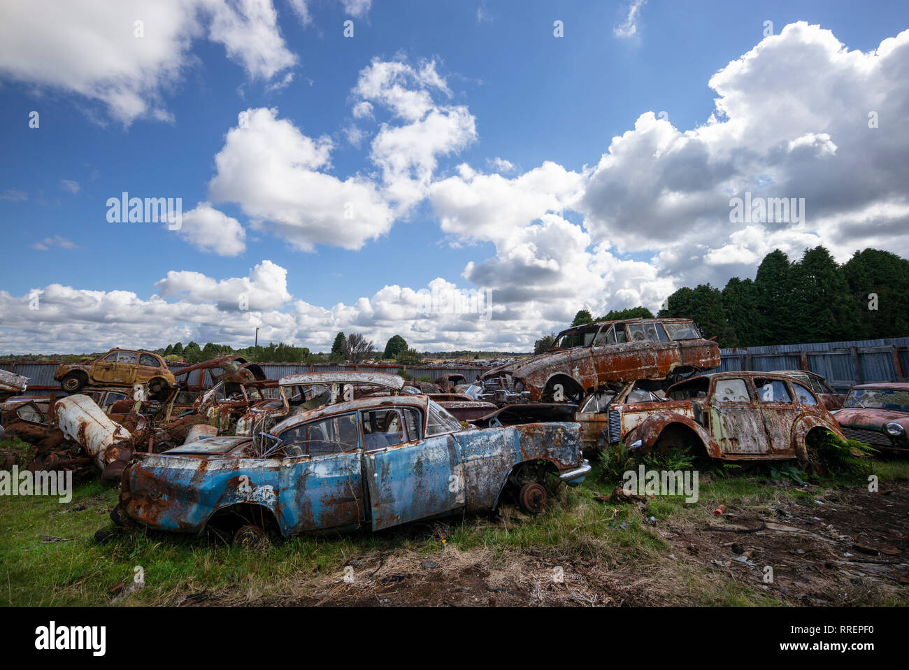 Smash Palace auto rottami cantiere sulla North Island, Nuova Zelanda. Foto Stock