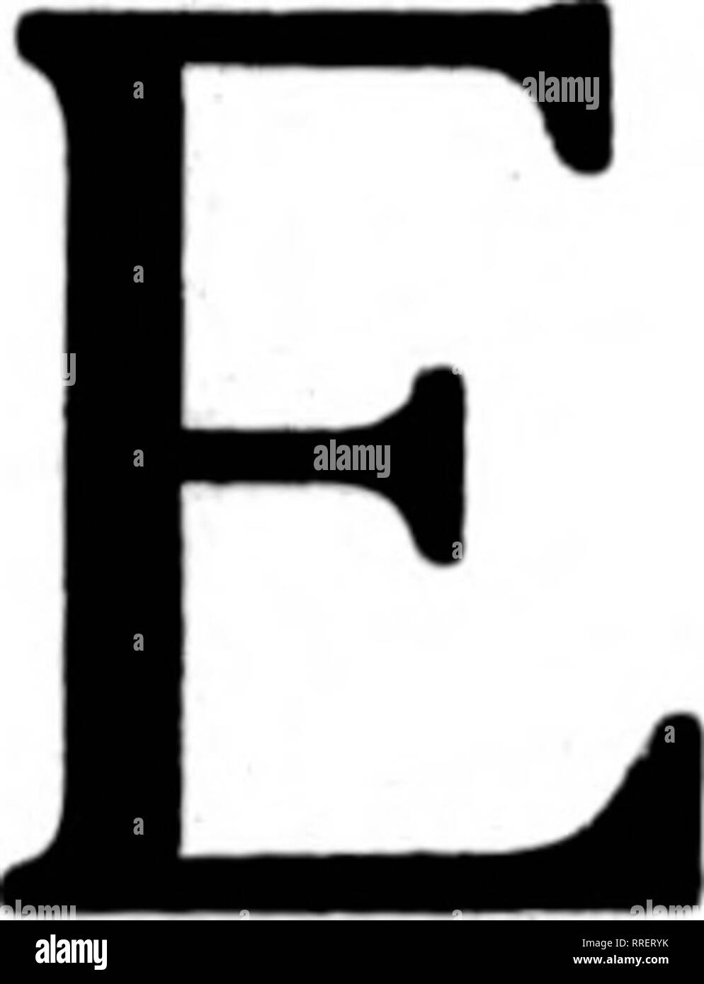 . Fioristi' review [microformati]. Floricoltura. Woodlawn negozio di fiori gli Stati fioristi' Telegrafo Associazione di consegna. 1410-1412 2° Avenue-accanto al teatro Clemmer edificio " NEL CUORE DELLA CITTÀ DI BASE ** il destinatario dei vostri ordini Telegrafico sul merito siamo o£Fer unexcelled strutture. Più di 13.000 piedi quadrati di spazio dello store dedicato esclusivamente al re- tailing di fiori. Dove la qualità di servizio e di regnare. 21 DIPENDENTI CHARLES E. SULLIVAN, responsabile del servizio telegrafico SFATTI F giardini di Hollywood ki^ Mm^ ferma a un &AMP;^ K^ Seattle leader fioraio stati fioristi' Telegraph consegna Foto Stock