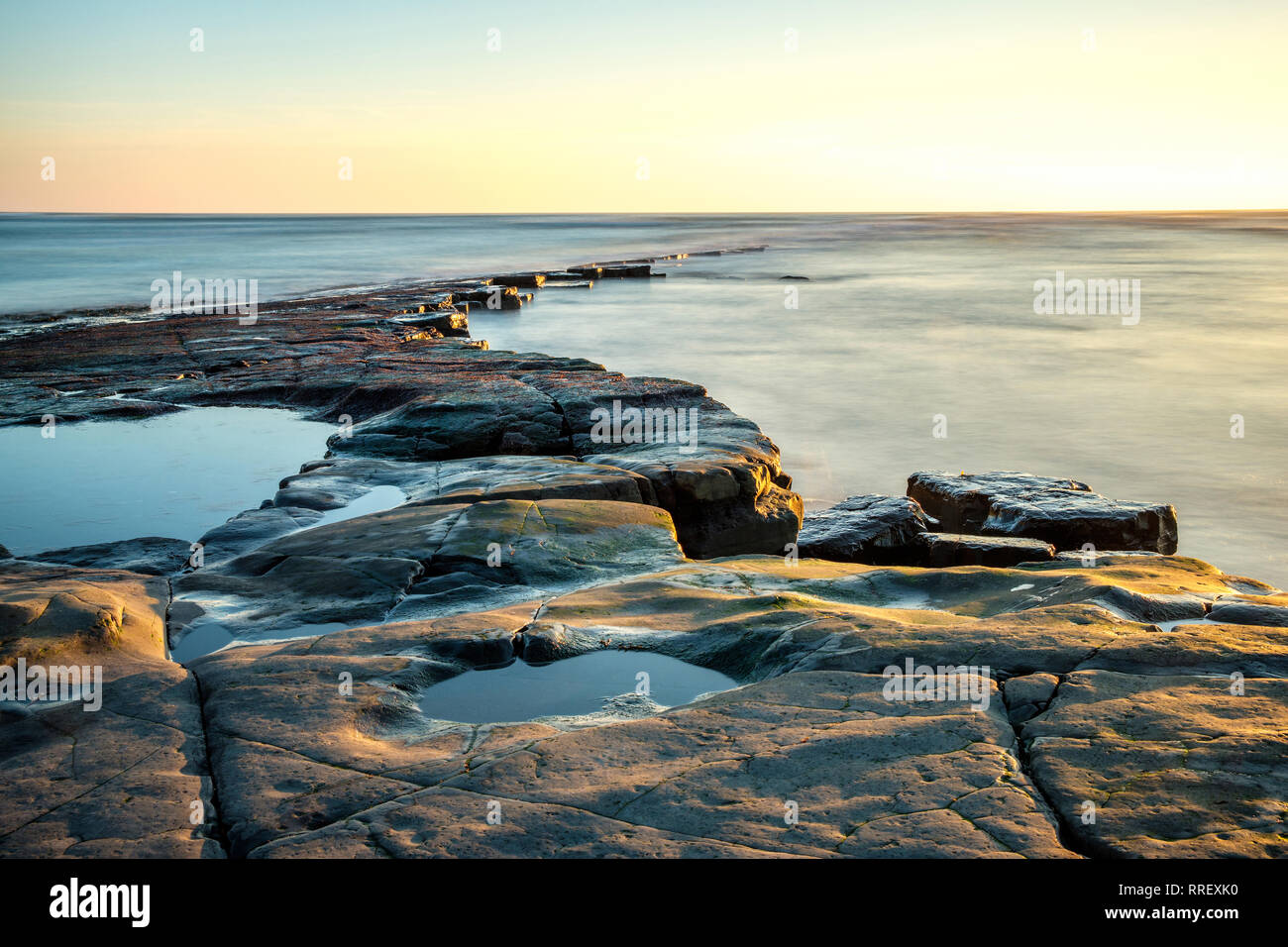 Battuta Kimmeridge esposto dalla bassa marea a Kimmeridge Bay Dorset Inghilterra Foto Stock