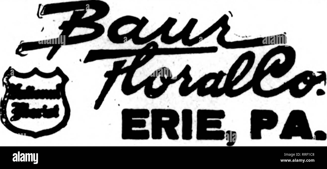 . Fioristi' review [microformati]. Floricoltura. SAN ANTONIO, TEX. p""p^ ™ ";;?":;[ il tuo credito è buono con noi VjXvlLililN FOB, IIIC J/lOriolj FIORI RECISI E OFFERTE FLOREALI Avenue C alla ottava strada ho J. V. LAVER ERIE, PA. Scrivere, telefono oiWmr'SSSt^. Erie, Pa. Charles G. Offerle 2408 Poplar Street New Kensington, Pa. McRAE-JENKINSON CO, UKBbat Floiteta' TaUgraph DoUrvy membri fioristi' Consegna del telegrafo ass'n, EVENDEN BROS. Williamsport, Pa. Larscst Orowen in fentrml c"iiziarlvmma. E Nomstown Conshohocken WILUS H. BALDWIN CONSHOHOCKEN. PENNA. WARREN, PA. Gescent giardino floreale, SHER Foto Stock