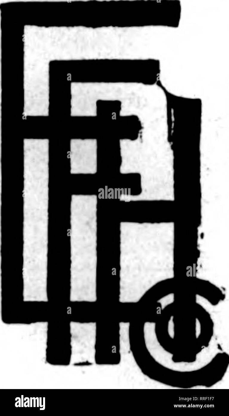 . Fioristi' review [microformati]. Floricoltura. WEEK-END DI SCATOLE. Dandogli l'abitudine. Ogni store dispone di un leader; che è, alcuni speciali prodotti su cui si è costruita una reputazione. Che cosa meglio del leader potrebbe un fioraio adottare rispetto a un ben disposti nella casella dei fiori ? Ora, uno dei primi pensieri nella realizzazione di una tale scatola è popolare per dare ad esso un ap- propriate nome e il mio suggerimento è quello di chiamare un week-end box. Il nome stesso suggerisce utilizza per esso. Esso può essere utilizzato in casa; il giovane può mostrare il suo pensiero del suo di dare a lei una domenica; o forse vi è qualche- uno vicino e caro Foto Stock