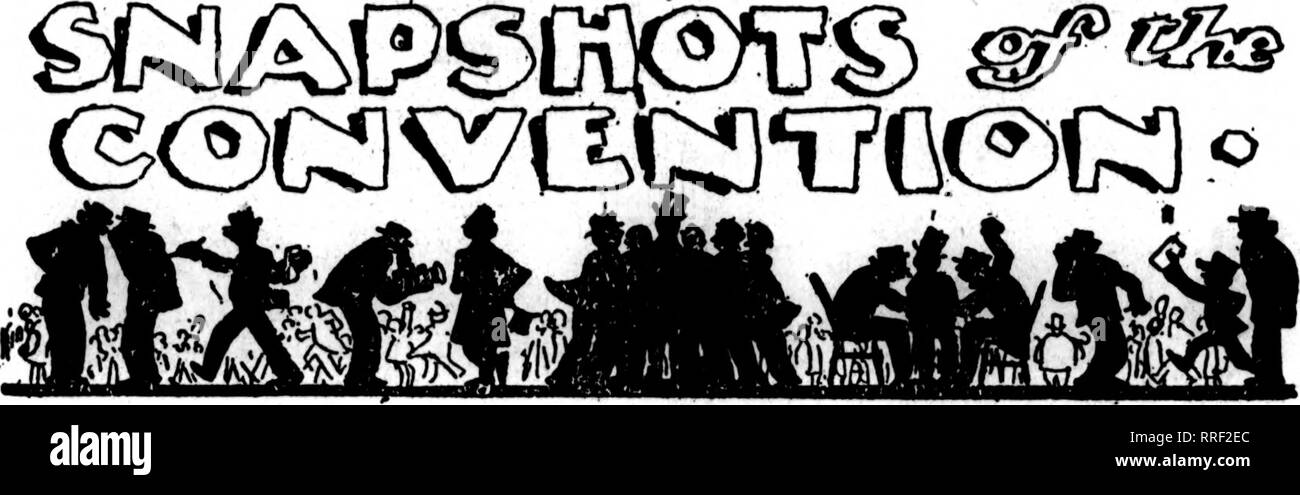 . Fioristi' review [microformati]. Floricoltura. 26 i fioristi' Riesaminare OCTOBBB 14, 1920 N TBEASUBEB BEFOBT DEL. La seguente è la relazione di Treas- urer William L. Kock, dei fioristi' Telegrafo Associazione consegna, per l'anno inizio Ottobre 1, 1919 e fine- ing Settembre 30, 1920 come presentato alla Convenzione di Indianapolis, 12 ottobre: KECEIPTS. Fondo di garanzia: i depositi dei soci $ 7,337.00 quote annuali fondo: quote annuali 21,172.50 . Tasse di raccolta .30 Exchange 7,57 Interessi ricevuti 316.85 iniziazione di appartenenza 2,615.00 tasse di vendita di leganti, per fogli, ecc.. 204.20 Vendita di electrot Foto Stock