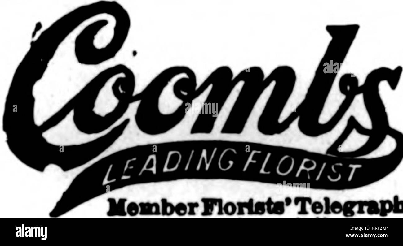 . Fioristi' review [microformati]. Floricoltura. 74anno-Stabilito 1847 John F. DOWD. Acquirente America's tutto Casa Fiore CHARLES F. BOYLE, Presidente FRANK F. DEERY. Arredatore BOSTON 1 Park Street James J. SLATTERY. Manager 799 Boylston Street John R. McDONOUGH. Manager NEW YORK 561 Fifth Avenue, a 46th Street, ROBERT A. HALE, Manager ^r Hartford, Connecticut Welch's negozio di fiori 197 Trumbull Street A. W. Welch sig.ra E. M. Welch ordini ?oUcited per tutte le parti di Connectlcai negozi: Ml Main St. 864 ABrlnmSt Oreenhouse*; Benton St. , j'Teleffrmpb Hartford, Dettyery A-ocl"tton&GT; conn. Menb Foto Stock