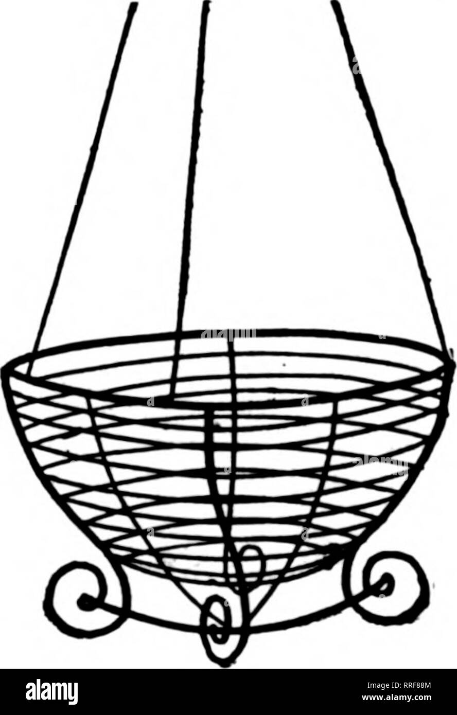 . Fioristi' review [microformati]. Floricoltura. Menzionare il BeTlew quando scrivi .. Filo nei cestini appesi dipinte di verde e ben fatta e forte. Dimensione Per Doz. Per 100 8 pollici $2 00 $15.00 10 pollici 2 25 18.00 12 pollici 2.50 20.00 14 pollici 3,25 25 00 16 pollici 4.25 32.50 18 pollici 6.00 45.00 Listino prezzi su Wiie disegni su Applicazione. Foglio verde Moo*. Per Bug, $1.75. Due Buohels eacli. Dieci Sacchi, $16.50. La WM. MURPHY CO. Lunga dis(aace telefoni, principali 980-981. 329 Main Street, Cincinnati, Ohio " presso il nostro primo mostra, dove l'ex- pense non era grande, 35.000 a 40.000 paganti erano sufficienti. Ma nella nostra ultima s Foto Stock