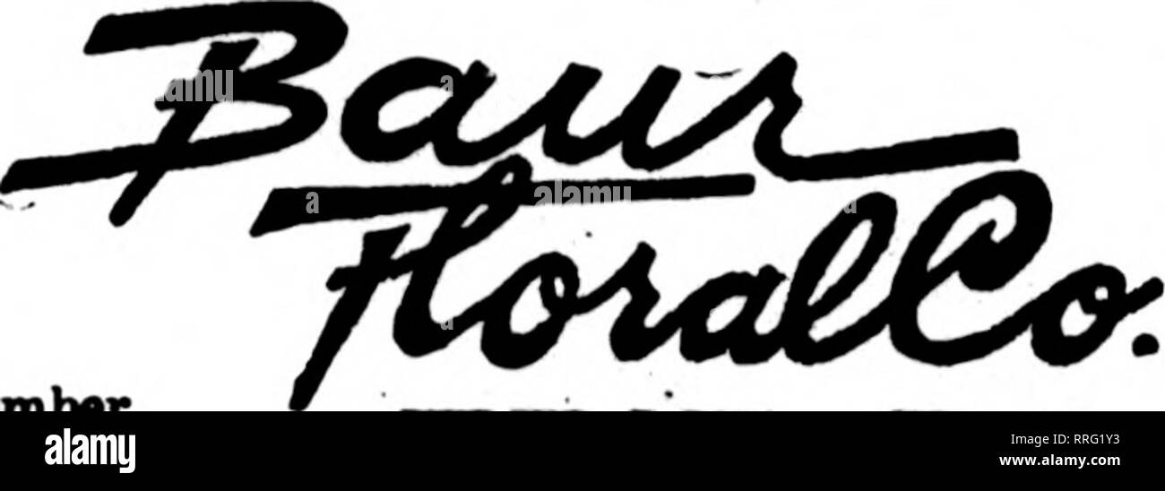 . Fioristi' review [microformati]. Floricoltura. SAN ANTONIO, TEX. I.ARGEST RETAIL negozio di fiori nel sudovest degli Stati F. T. D. verde, il fioraio Avenue C alla ottava strada J. V. LAVER ERIE, PA. Scrivere, telefono orWuet't^^^Z. Gli Stati P. T. D. ERIE, PA. Erie, Pa. Charles G. Offerie 2408 Poplar Street New Kensington, Pa. McRAE-JENKINSON CO. ItaDbw FlwJata' Talesnph IMJmy membri fioristi' Consegna del telegrafo ass'n, EVENDEN BROS. Larseat Orowers in fentrml x^nnsylTania. Williamsport, Pa. Nomstown e Conshohocken WILLIS H. BALDWIN CONSHOHOCKEN. PENNA. WARREN, PA. r 1. n 1 r* J shekm offerle, Lrescent rior Foto Stock