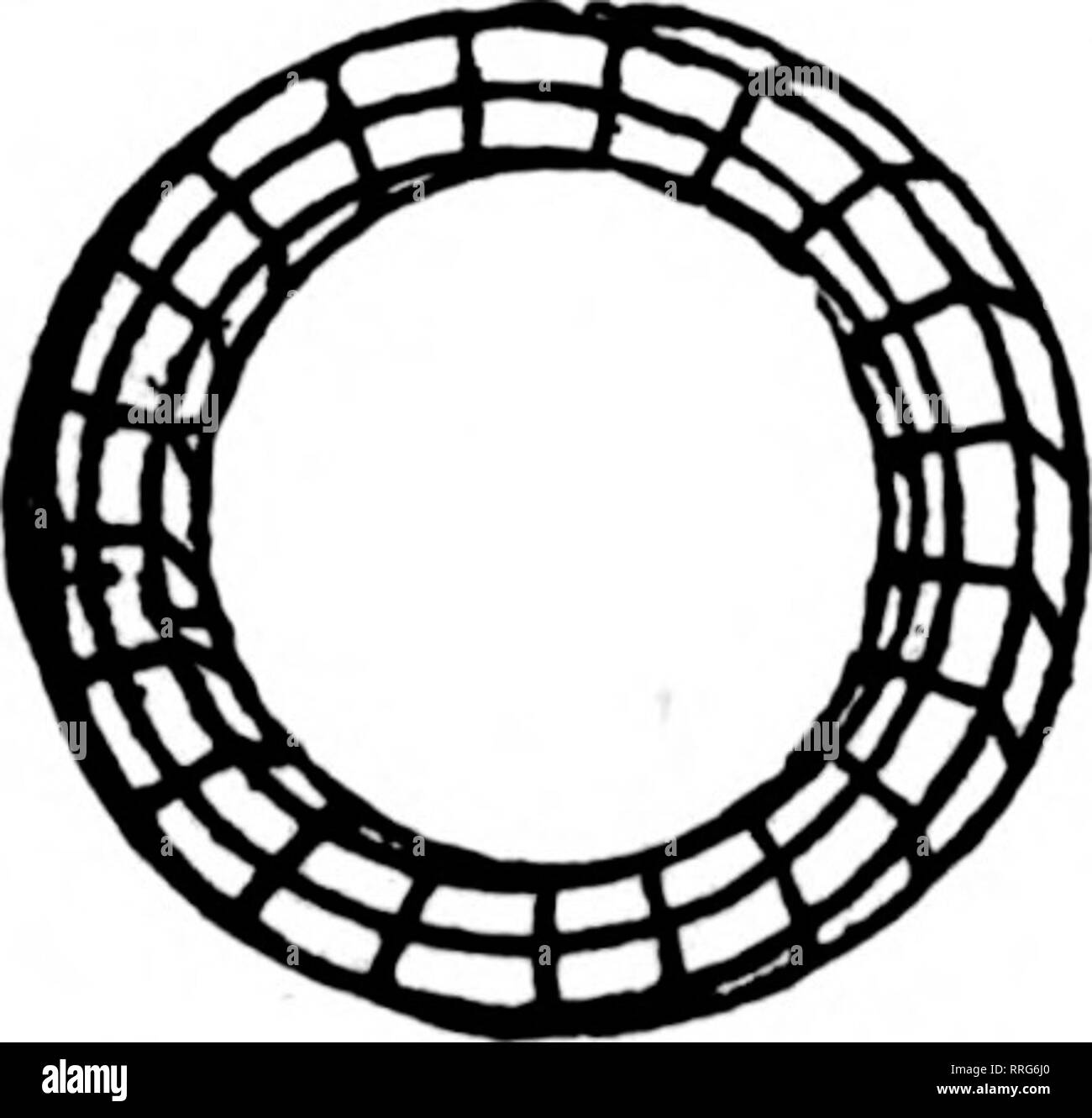 . Fioristi' review [microformati]. Floricoltura. Filo nei cestini appesi non è dei più economici ma il miglior fatto bene la natura dipinta. Legate con filo zincato 6 alla dozzina di tasso, così al tasso di 100 p ,nn Per doz. Per 100 $L'.00 $15.00 ^-luc io .... 2.25 18.00 '"-i""h 2.-50 20.00 l--'"ch 3,25 25.W 14 pollici 4 2o 32,5(" '"-""."-"h '.'.".['.".".".".".".".".". (I!00 45.00 1 s pollici prezzi sui più grandi si/e nei cestini appesi quotata in applicazione. Scrivere per il listino prezzi di filo disegni floreali. Foglio VERDE MUSCHIO '?"'l^SR^RI^N'i.SSTAlKETs per sacchetto, $2.00; 10 sacchetti, $17.50. Prezzi su quanti più grandi Foto Stock