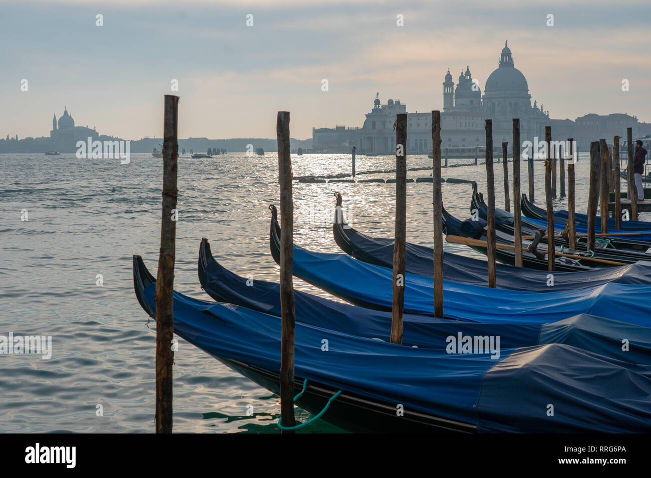 Una fila di gondole in primo piano e la chiesa di Santa Maria della Salute, comunemente noti semplicemente come la salute, in background, a Venezia. Fro Foto Stock