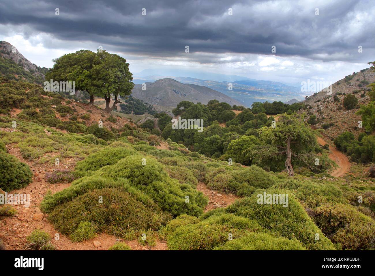 Altopiano di Lassithi, Creta, Isole Greche, Grecia, Europa Foto Stock