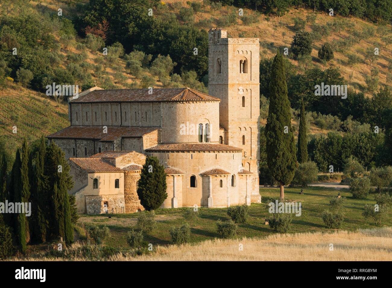 L'Abbazia di Sant'Antimo, Sant'Antimo, Toscana, Italia, Europa Foto Stock