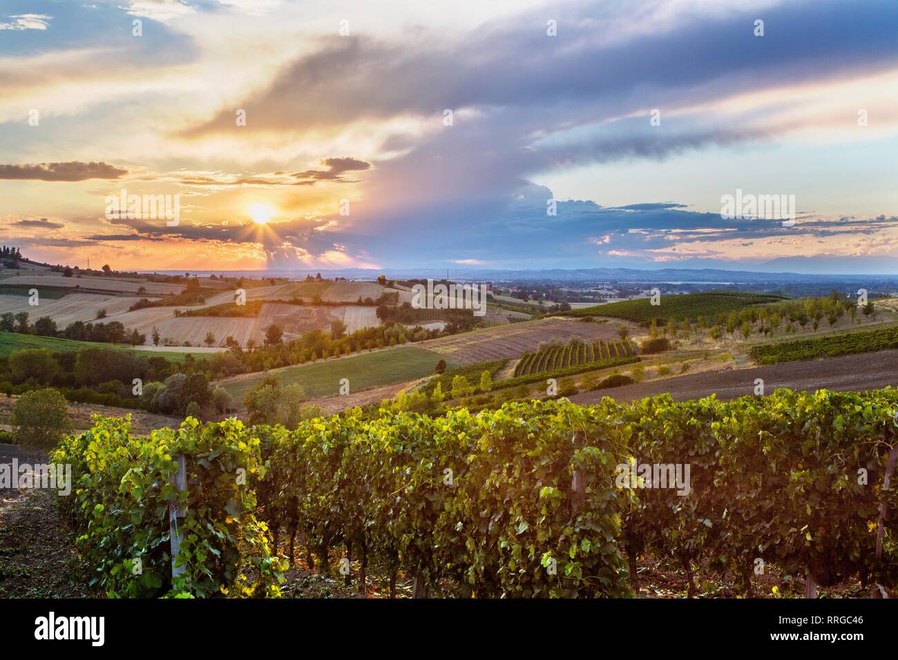 Sulle strade di Fausto Coppi, la vista dalla Rampina, strada bianca della corsa in bicicletta la mitica, Zona Tortona, Alessandria, Piemonte Foto Stock