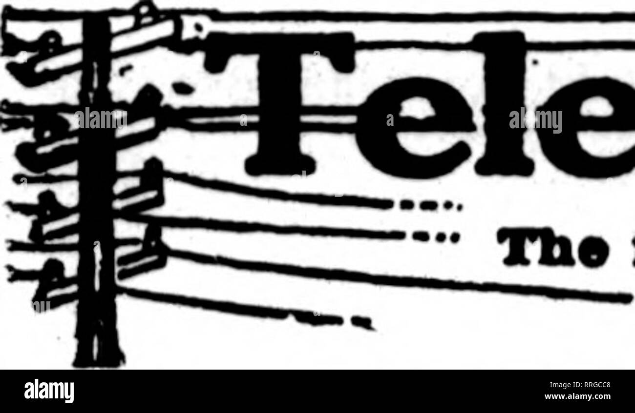 . Fioristi' review [microformati]. Floricoltura. 88 i fioristi^ Review Max 27, 1920. Si prega di notare che queste immagini vengono estratte dalla pagina sottoposta a scansione di immagini che possono essere state migliorate digitalmente per la leggibilità - Colorazione e aspetto di queste illustrazioni potrebbero non perfettamente assomigliano al lavoro originale. Chicago : fioristi' Pub. Co Foto Stock