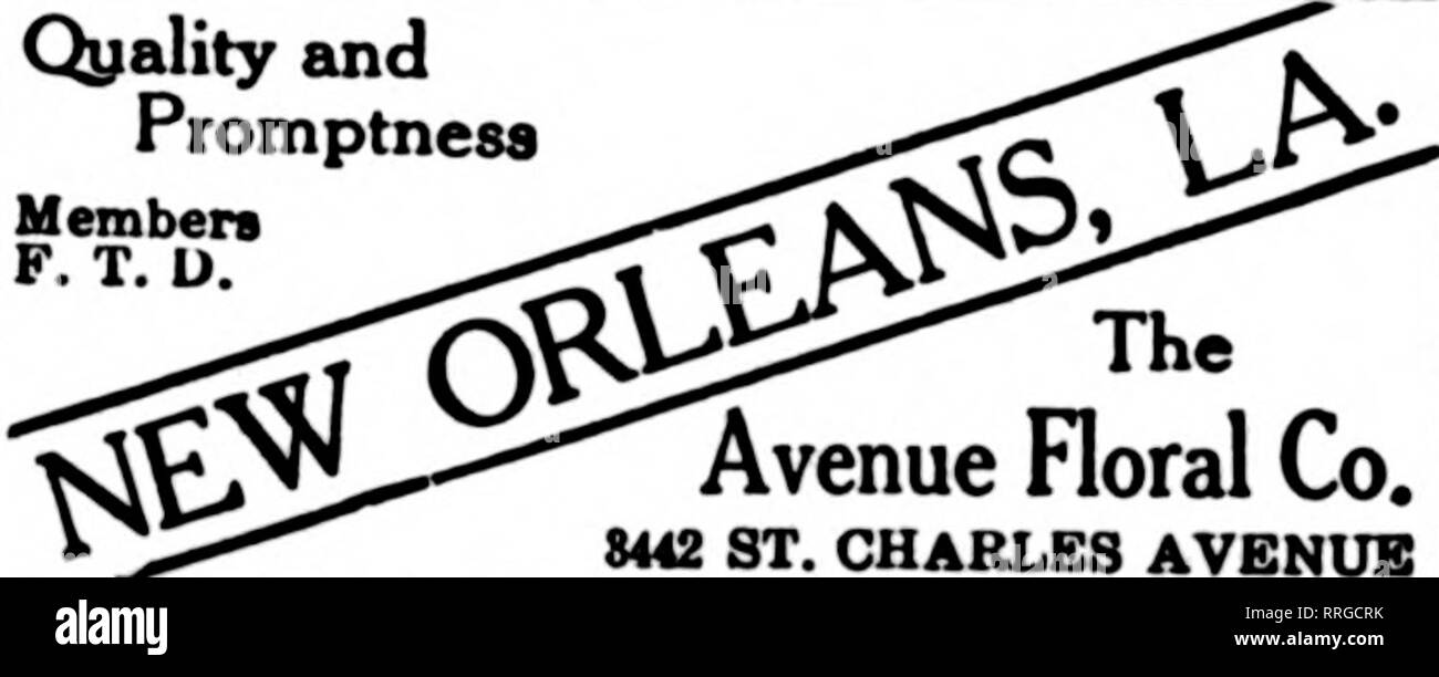 . Fioristi' review [microformati]. Floricoltura. Siamo in grado di soddisfare l'O/W Best Trade 2600 ST. CHARLES AVENUE Lake Charles e a sud-ovest della Luisiana Stati F. T. D. CHAS. D- OTIS ALESSANDRIA, la E. BLUM &AMP; figlio per tutti i punti nel centro Louisian* avenue. Tlie incontro aveva un equo frequentare- mente. "La coltivazione di orchidee" è stato il tema introdotto da David Miller e Adam Huber, entrambi dei quali sono con- nesso con il Missouri Botanical Gar- tl,en, dove essi sono custodi di uno dei più grandi e più belle collezioni di orchidee nel paese; essi erano così ben equipaggiato per condurre la discussione o Foto Stock